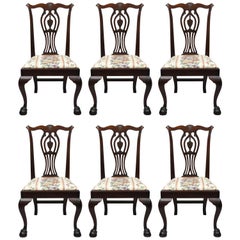 Six Bench Made Carved Mahogany Chippendale Style Ball and Claw Dining Chair Set