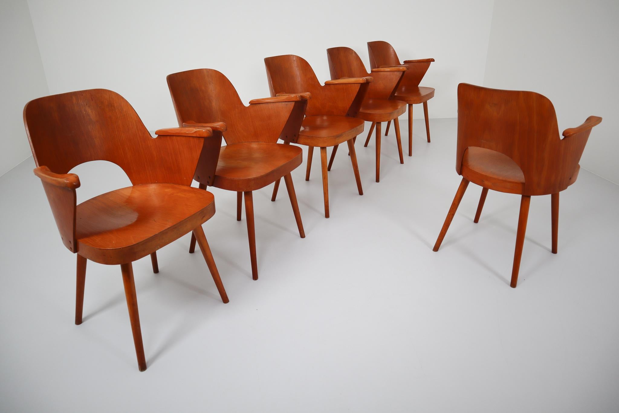 Six Blonde Bentwood Armchairs by Oswald Haerdtl for Ton CZ 1960s In Good Condition In Almelo, NL