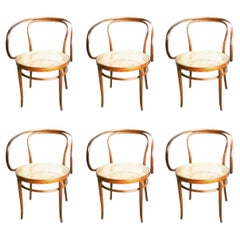 Six Chairs 209 After Thonet  Bentwood  Light Oak Color, 1950s