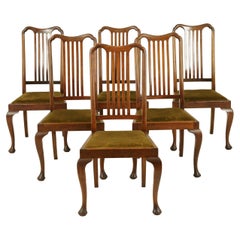 Six Dining Chairs, Antique Dining Chairs, Queen Anne Chairs, Walnut, 1920, B1407