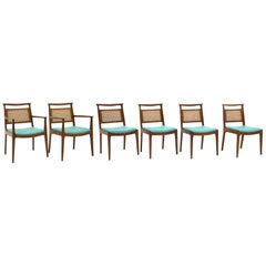 Six Dining Chairs by Edward Wormley, Walnut Frames, Cane Backs and Blue Seats