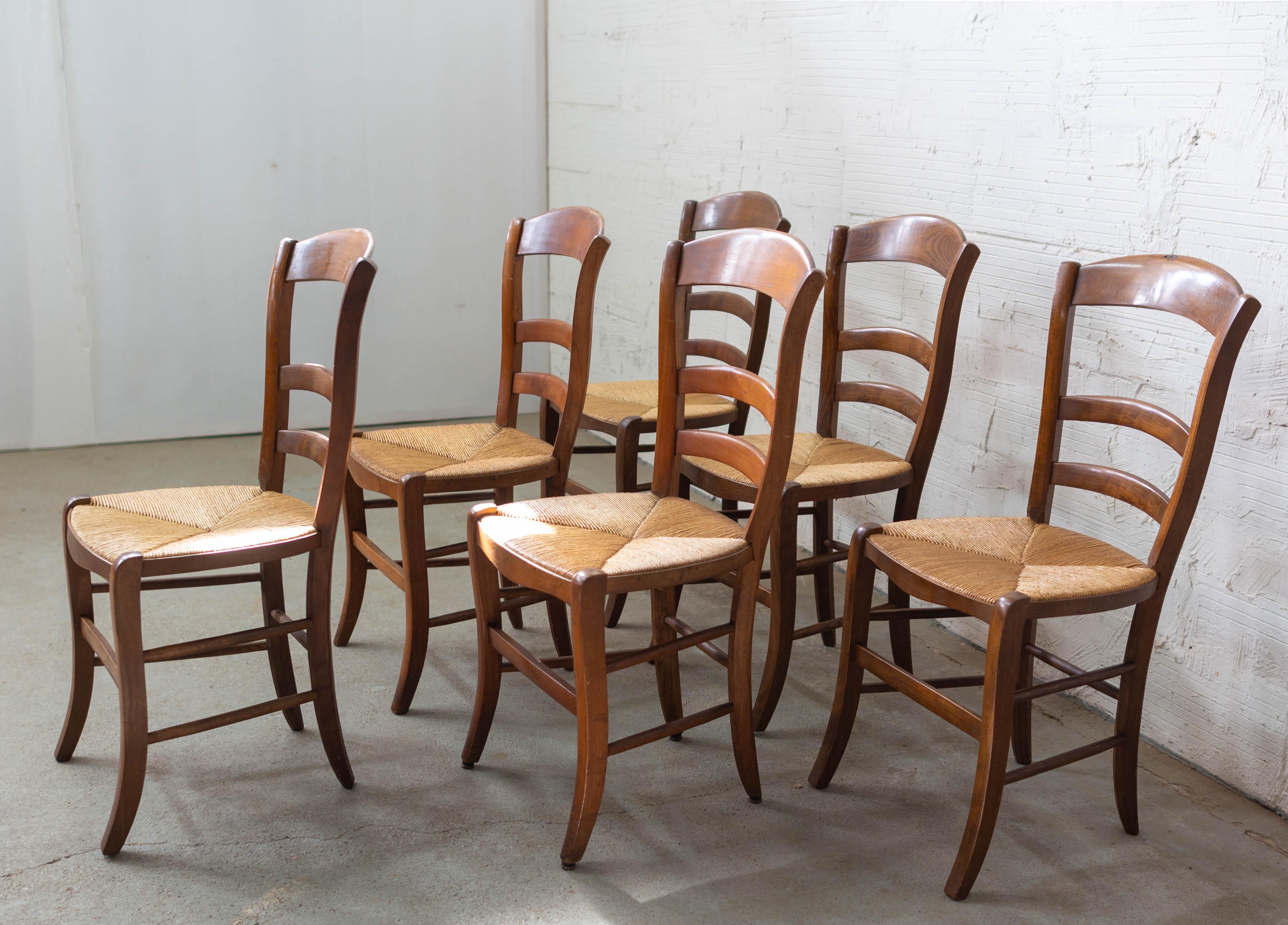 Six Dining Chairs French Country Ladder Back Rush Seats, Early 20th Century In Good Condition In Labrit, Landes