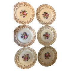 Six Dinner Plates Rosenthal Germany Flowers Gilts