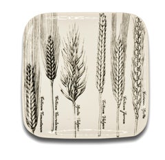 Six Dishes "Serie Spighe" 'Spikes Series' by Piero Fornasetti, 1960s