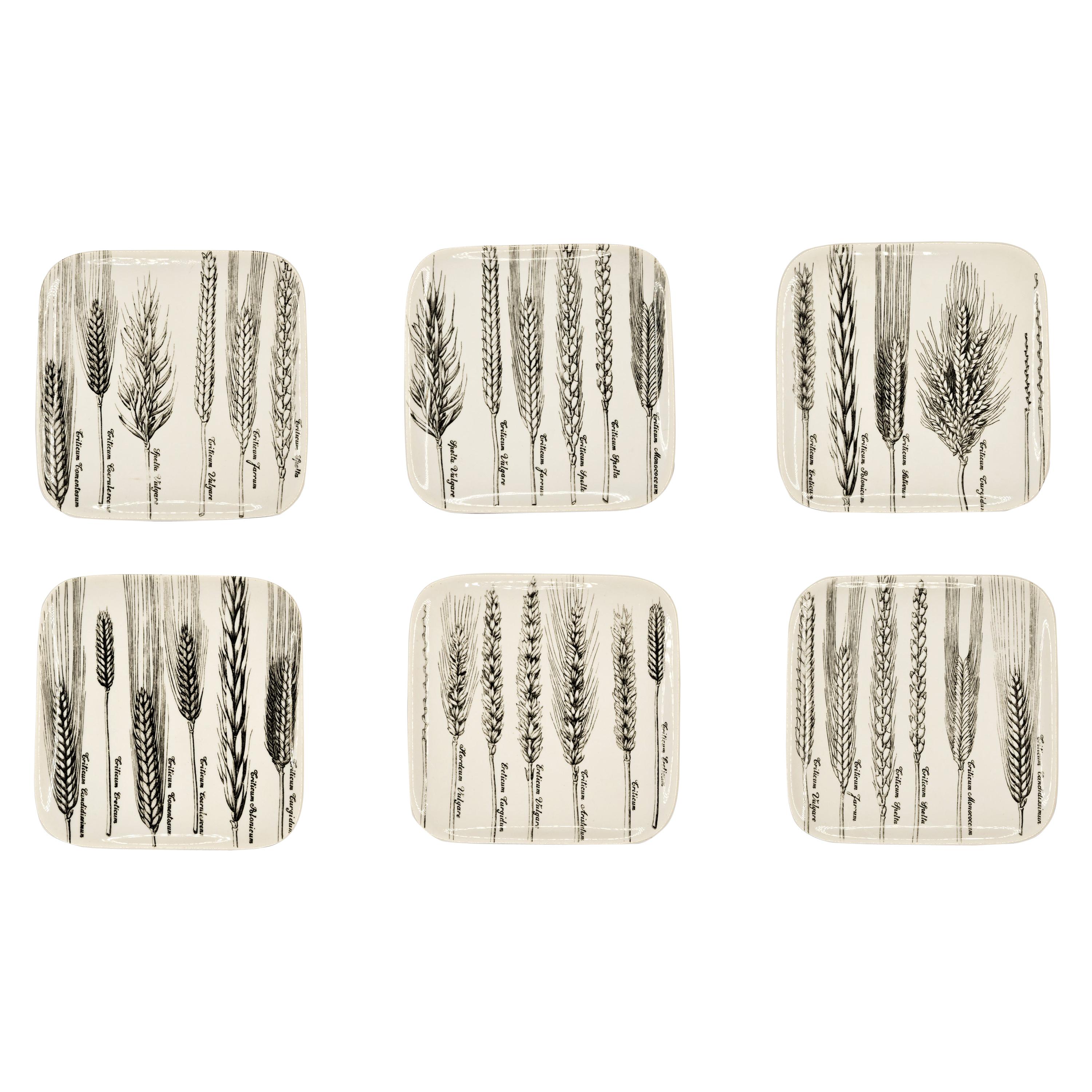 Six Dishes "Serie Spighe" 'Spikes Series' by Piero Fornasetti, 1960s For Sale