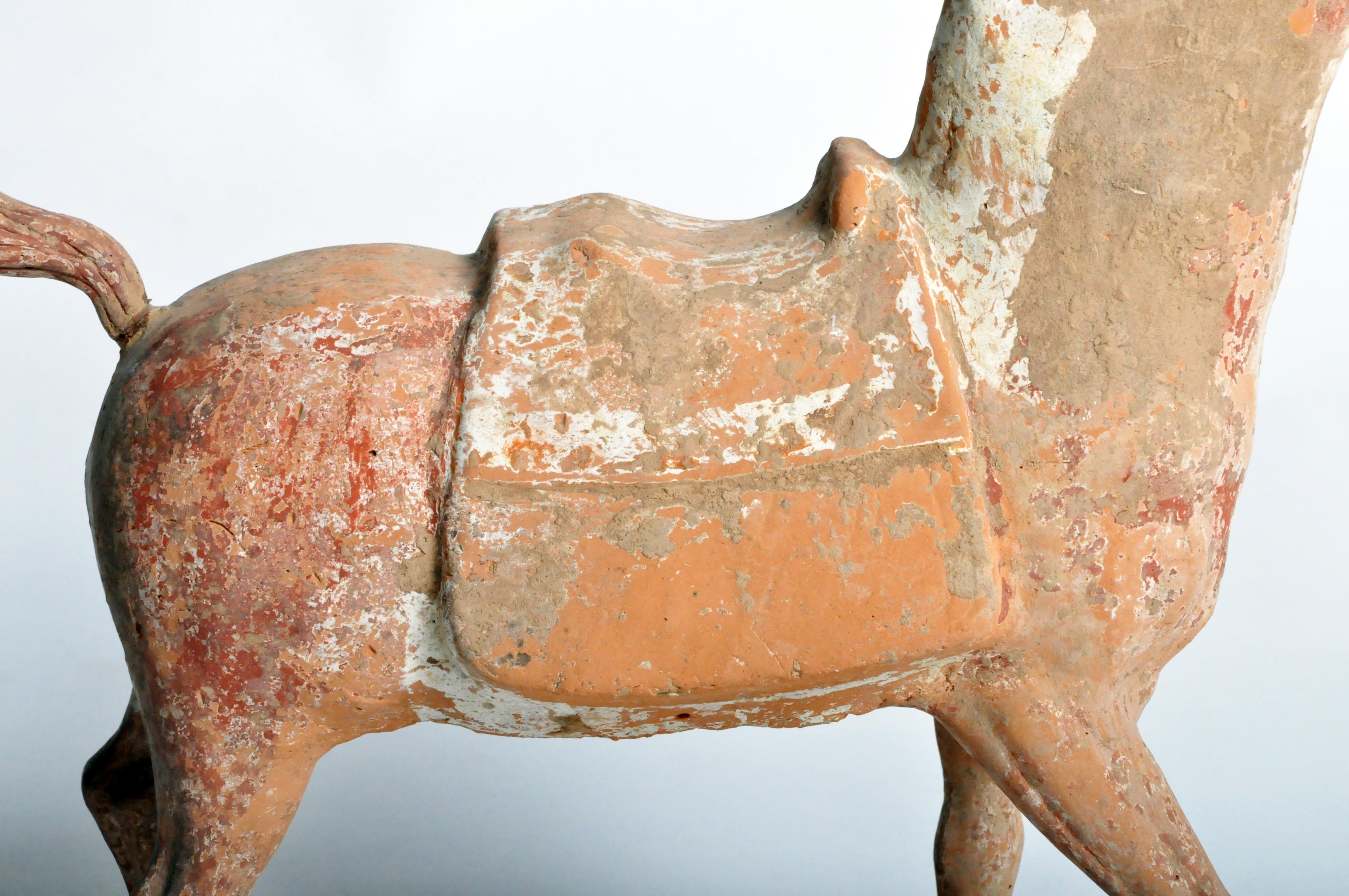 Six Dynasties Period Figure of a Horse 2