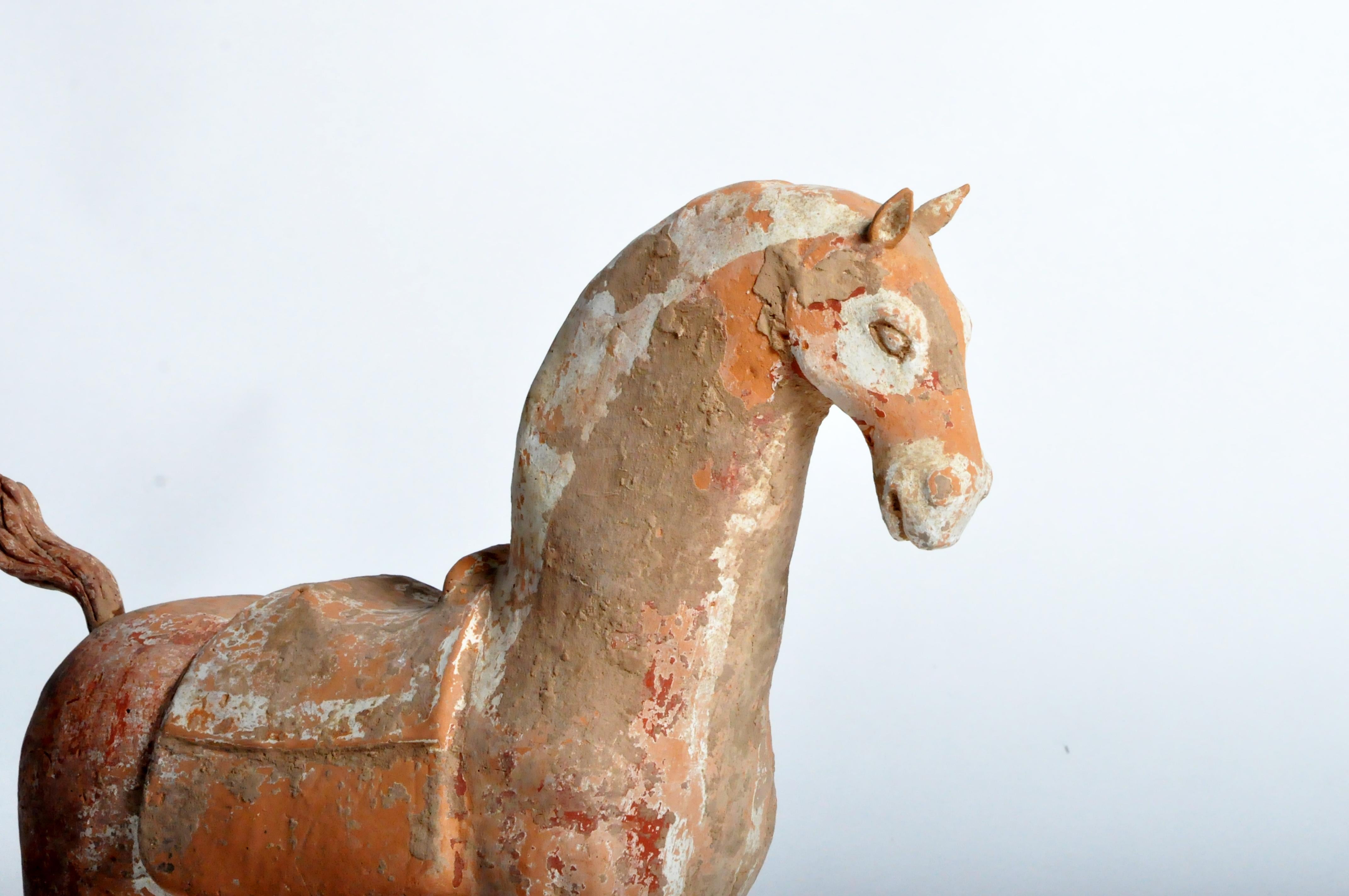 Six Dynasties Period Figure of a Horse 4