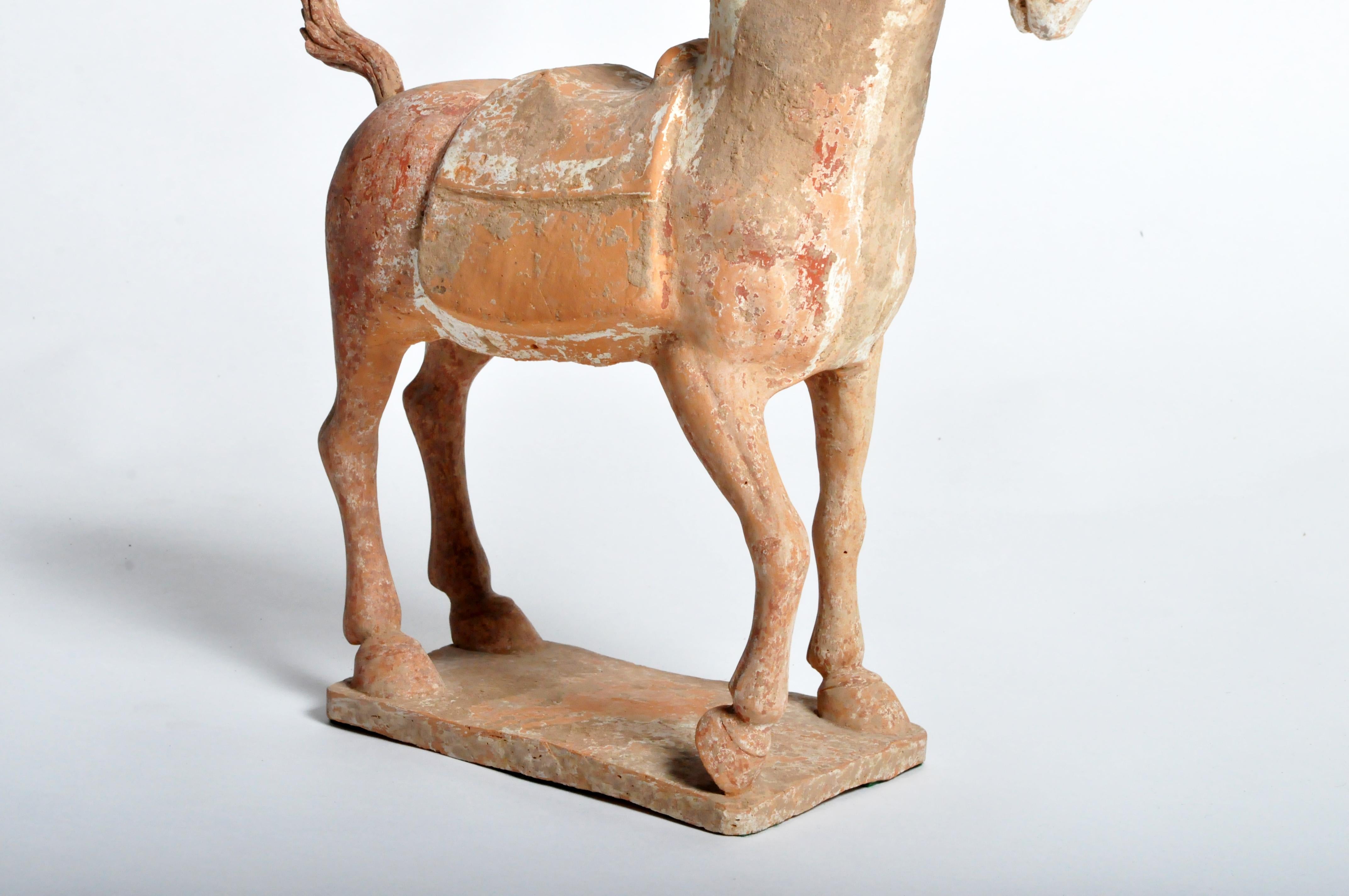 Six Dynasties Period Figure of a Horse 5