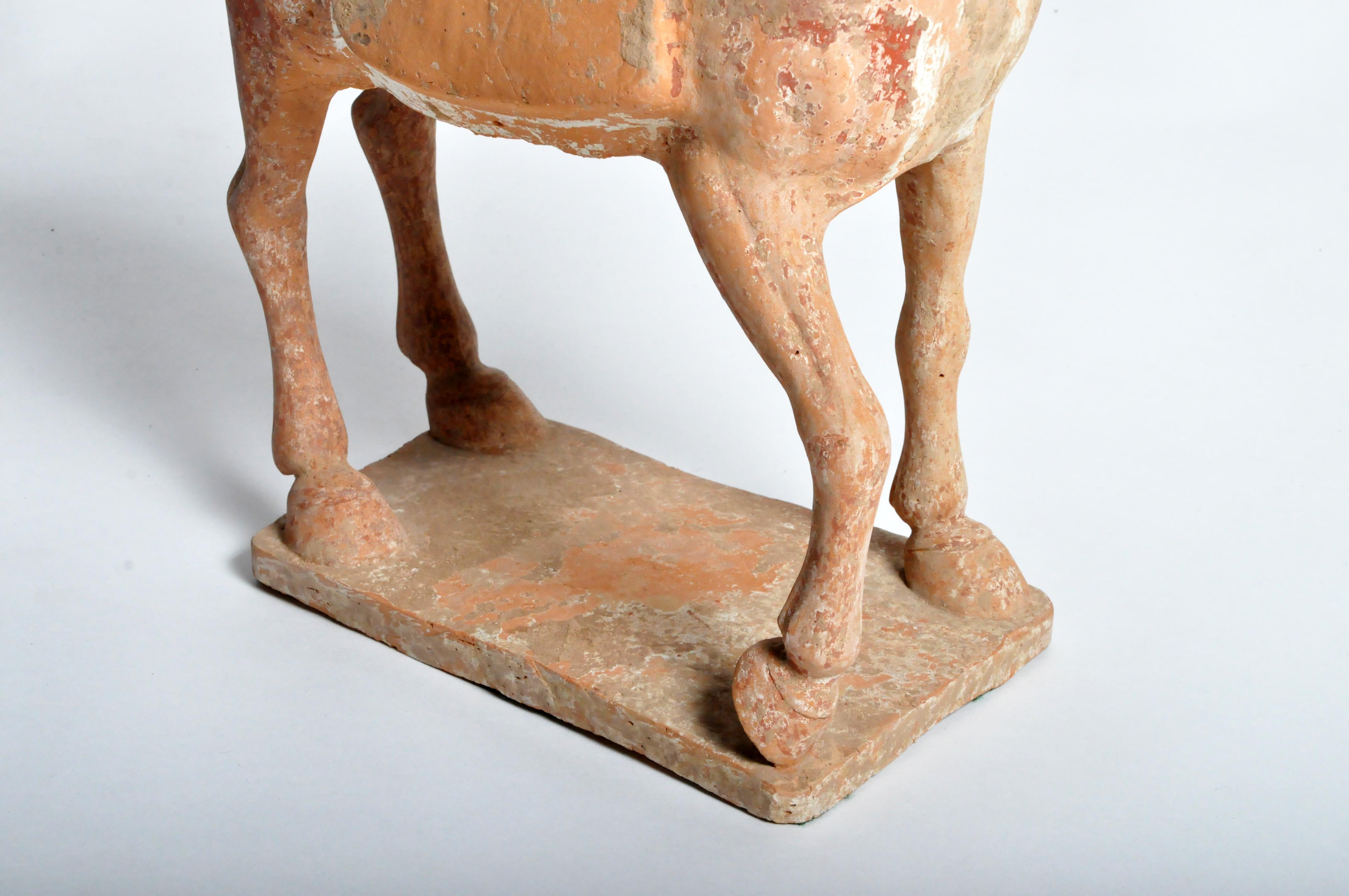 Six Dynasties Period Figure of a Horse 7