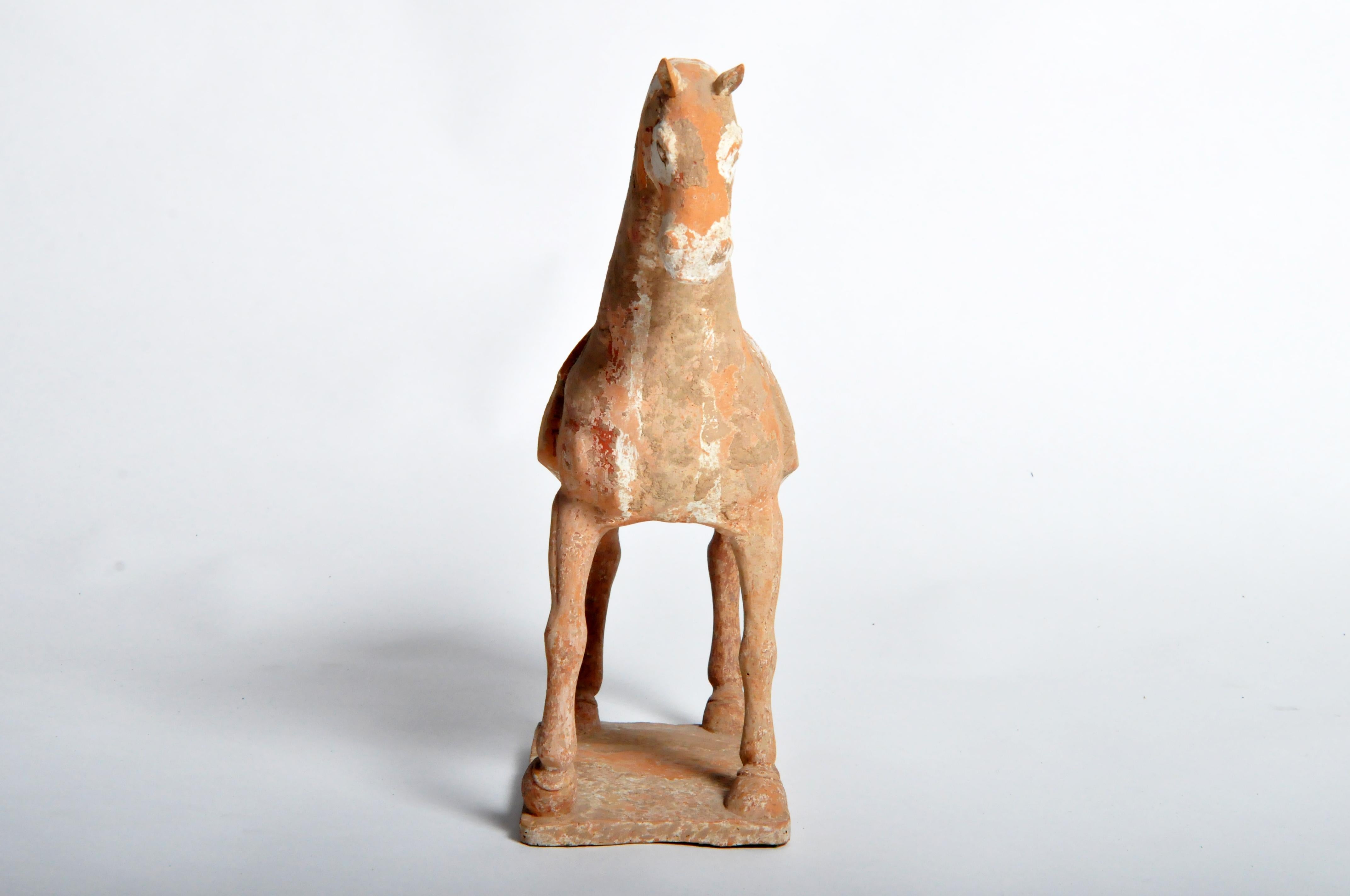 Six Dynasties Period Figure of a Horse 8