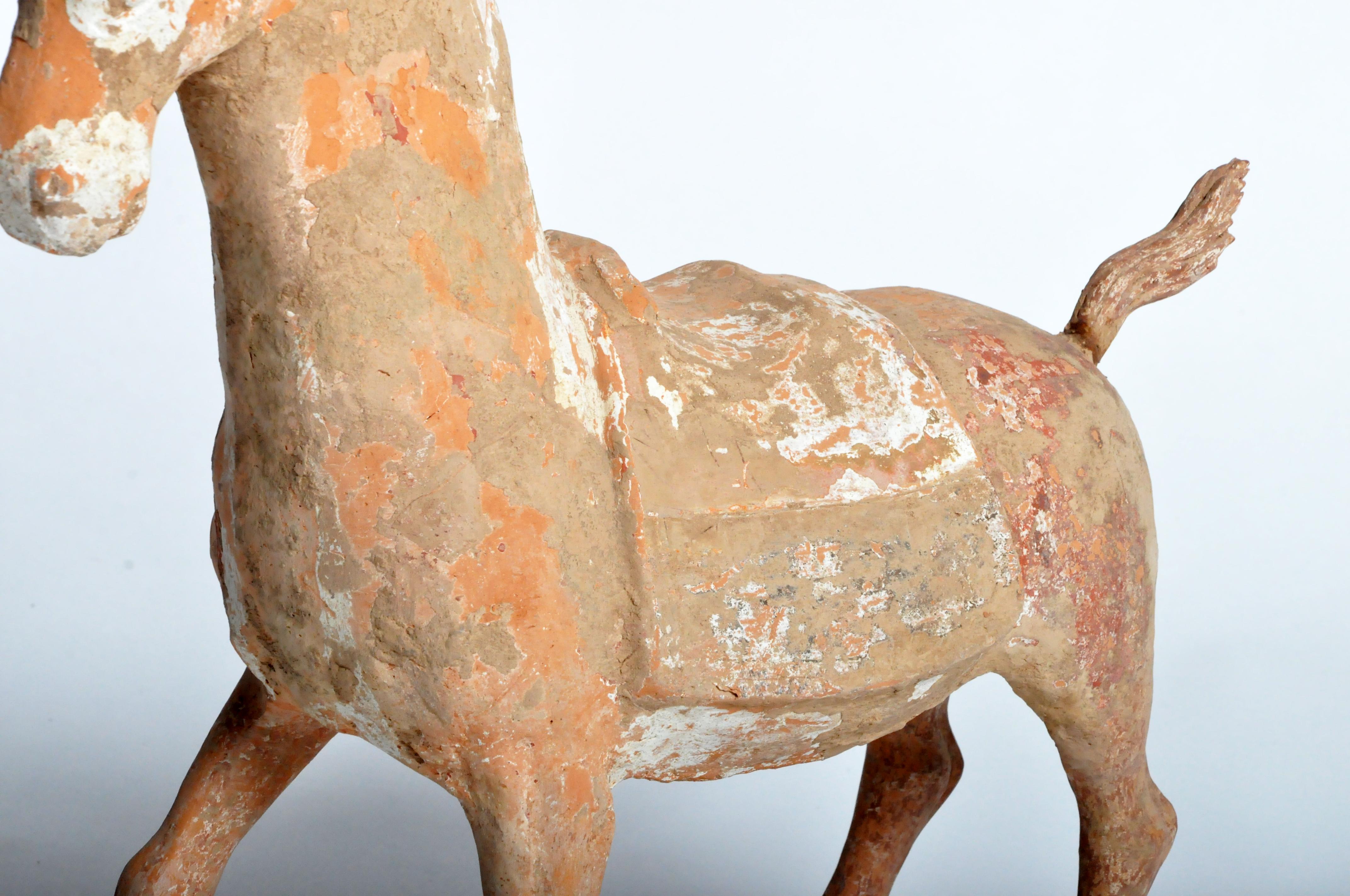 Six Dynasties Period Figure of a Horse 11