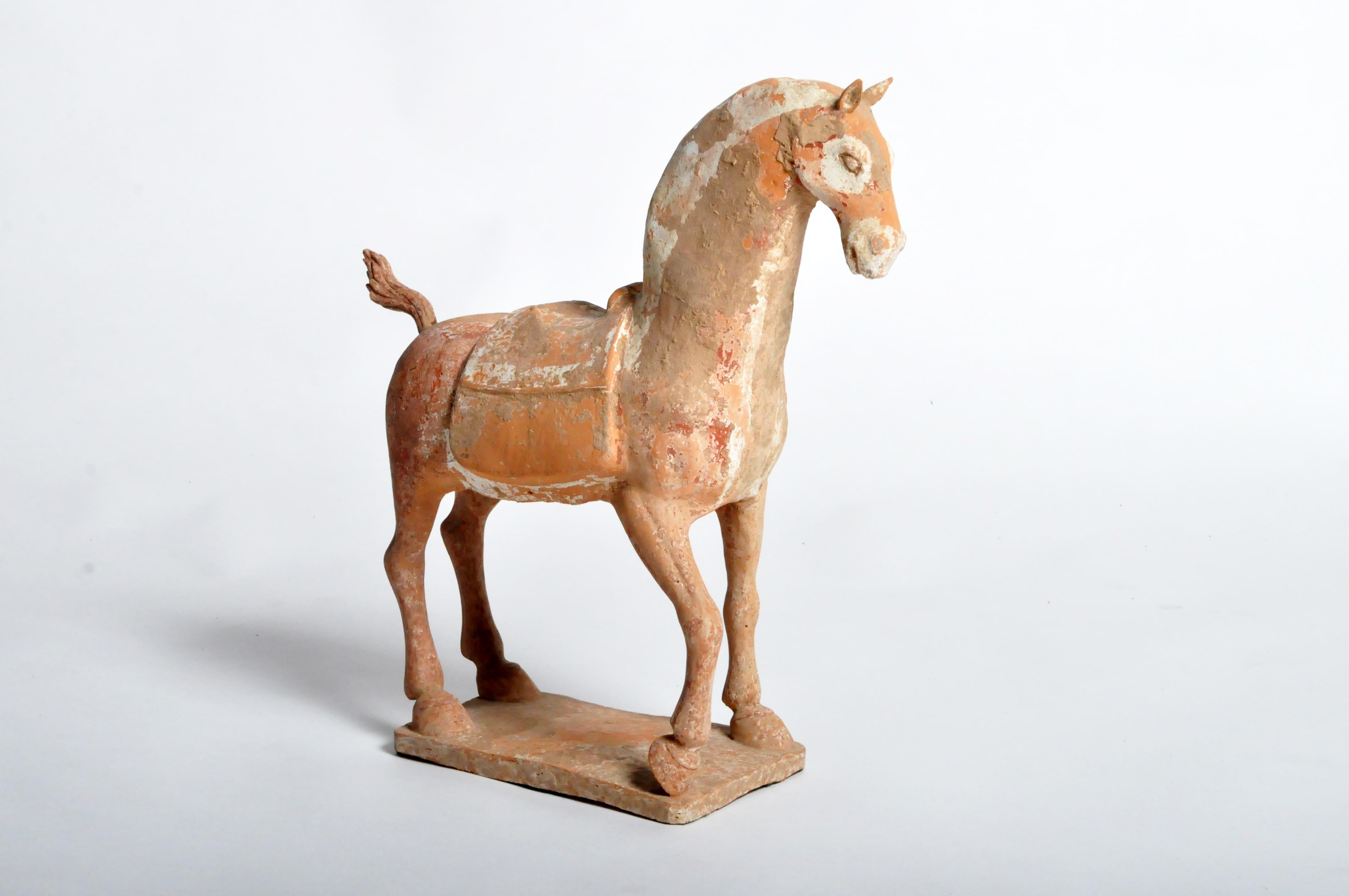 A majestic and nobly-proportioned Six Dynasties (220 AD – 589 AD) pottery model of a prancing horse. Similar to early tang horses, this figure is strong and simple. The animal is caught mid-motion, one leg bent, head held high and directed forward,