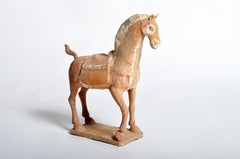 Figure d'un cheval d'époque dynastie de six ans