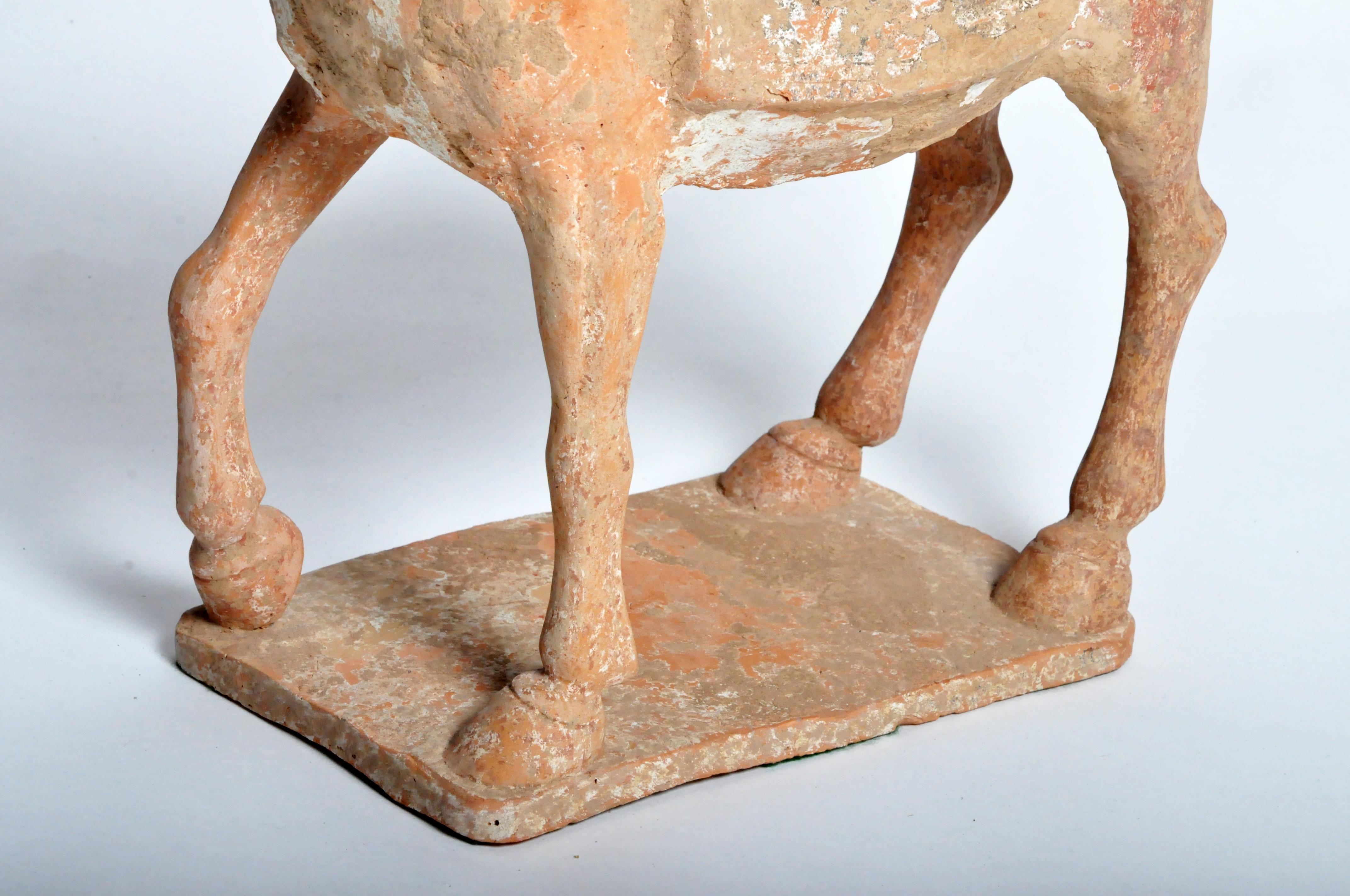 Six Dynasties Period Figure of a Horse 12