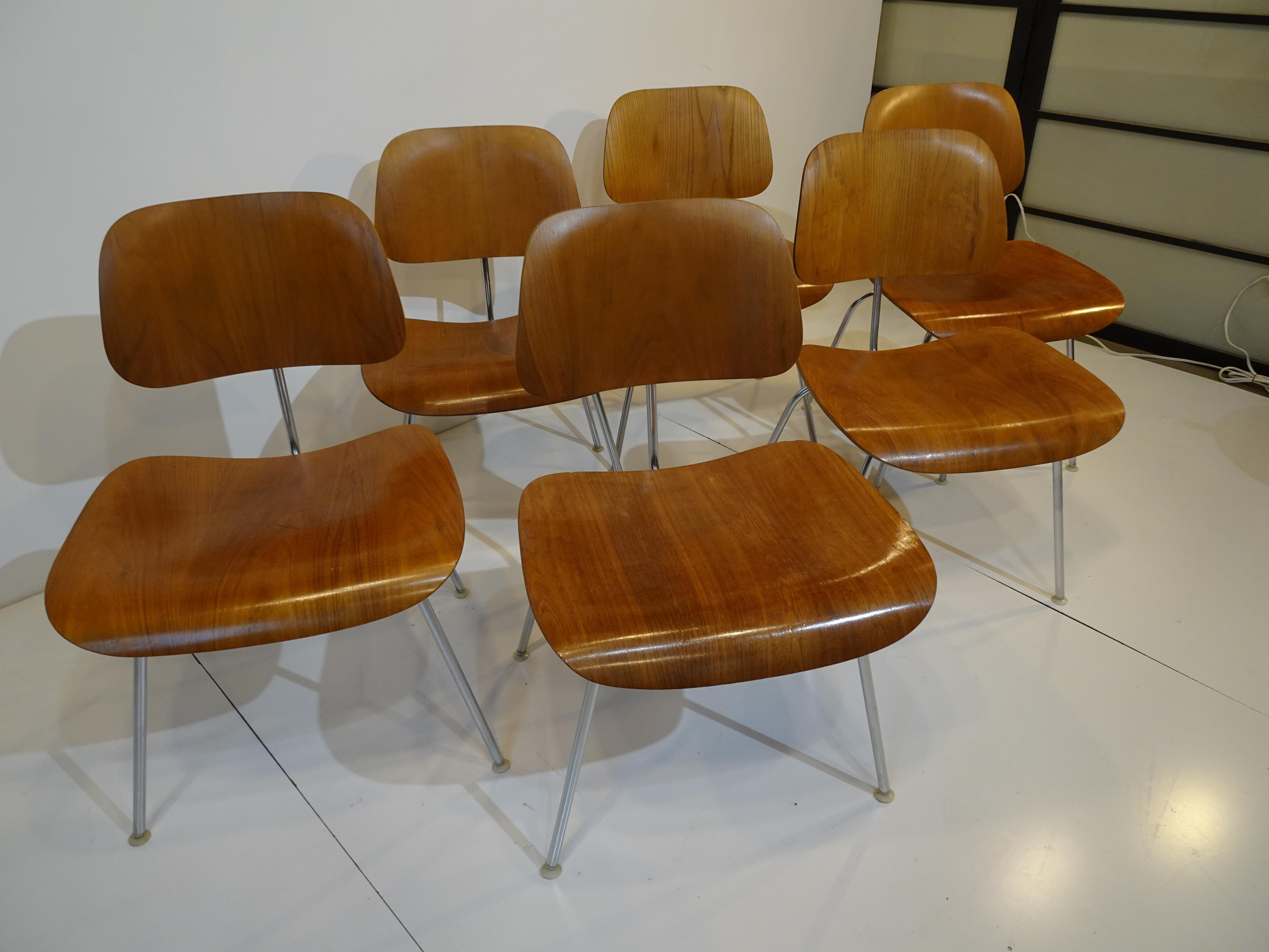 A set of six molded walnut ply DCM dining chairs with chromed metal frames having nylon foot pads to protect your floors . Some still retain the manufactures label to the seat bottom designed by Ray and Charles Eames for the Herman Miller furniture