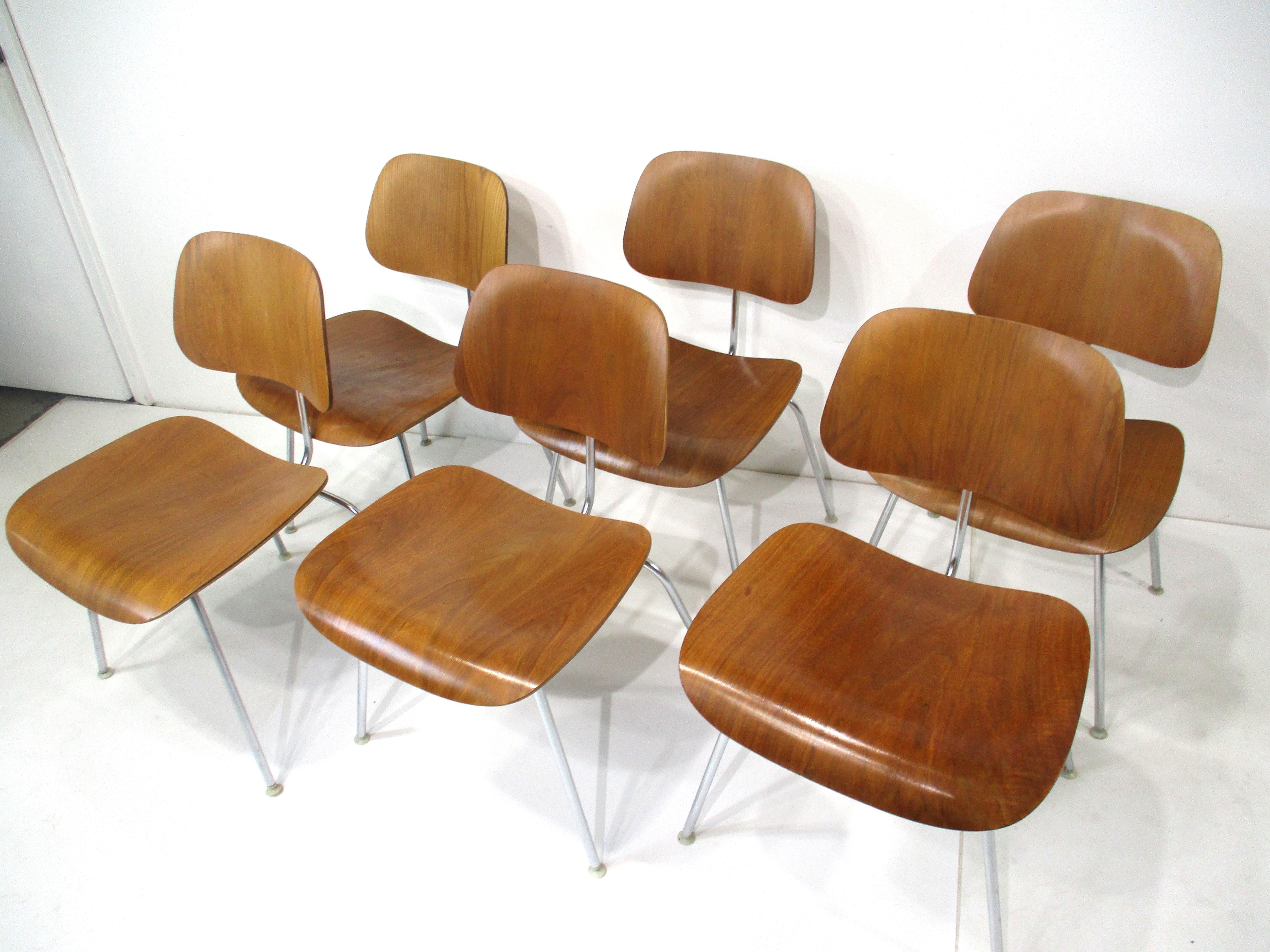 Six Eames Walnut DCM Dining Chairs for Herman Miller 4