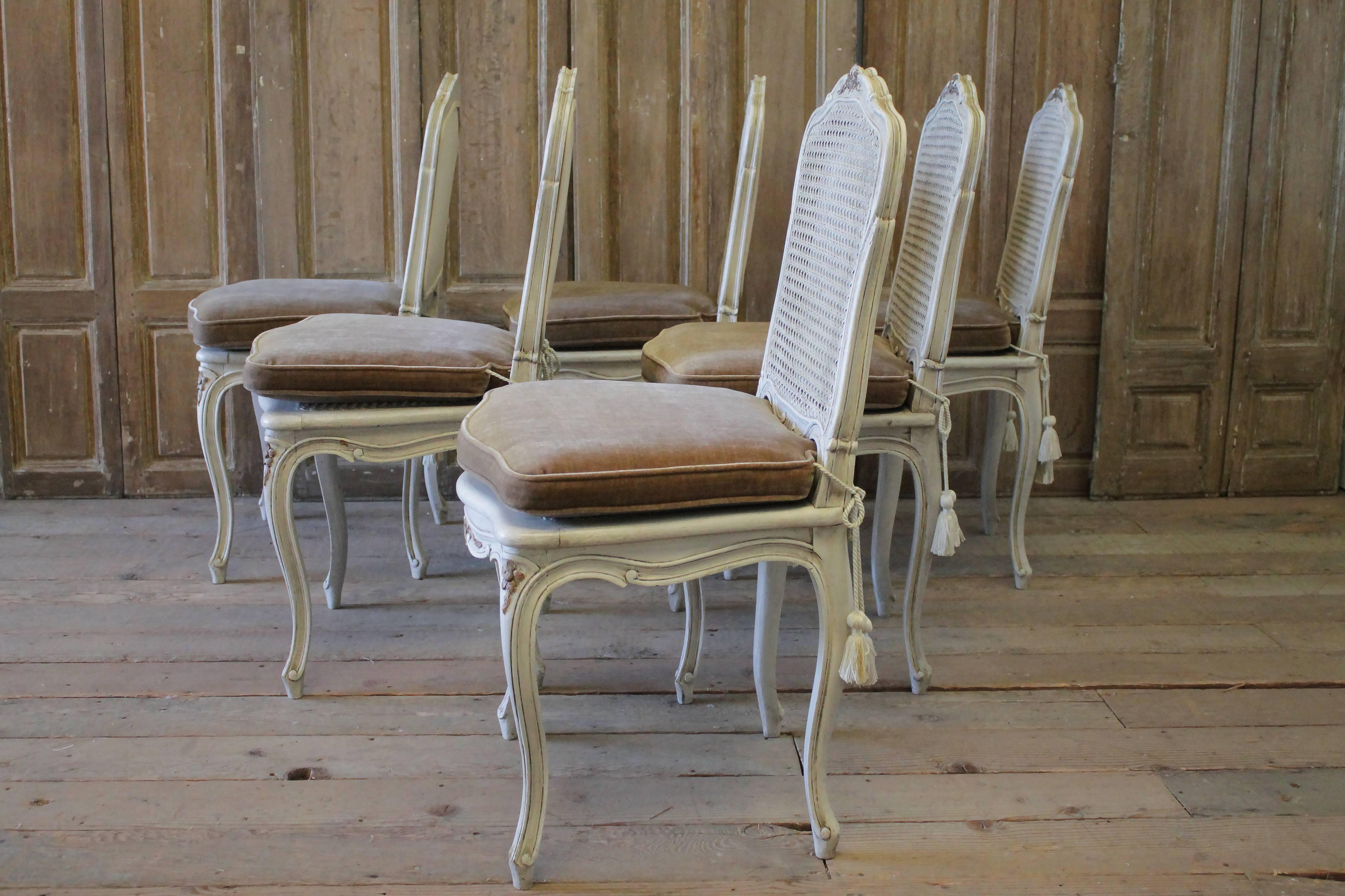 Six Early 20th Century Painted French Louis XV Style Cane Back Dining Chairs 7