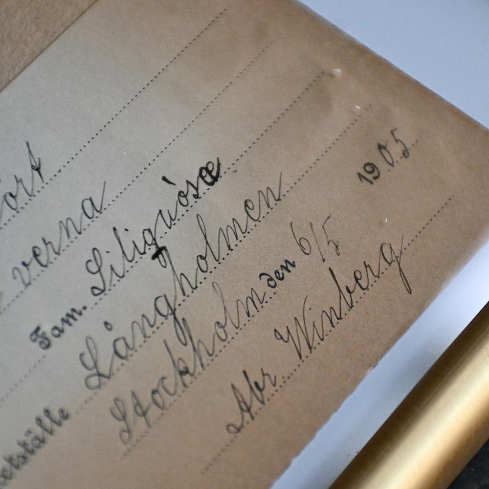 French Six early 20th Century pressed botanic samples signed and dated 1906 For Sale