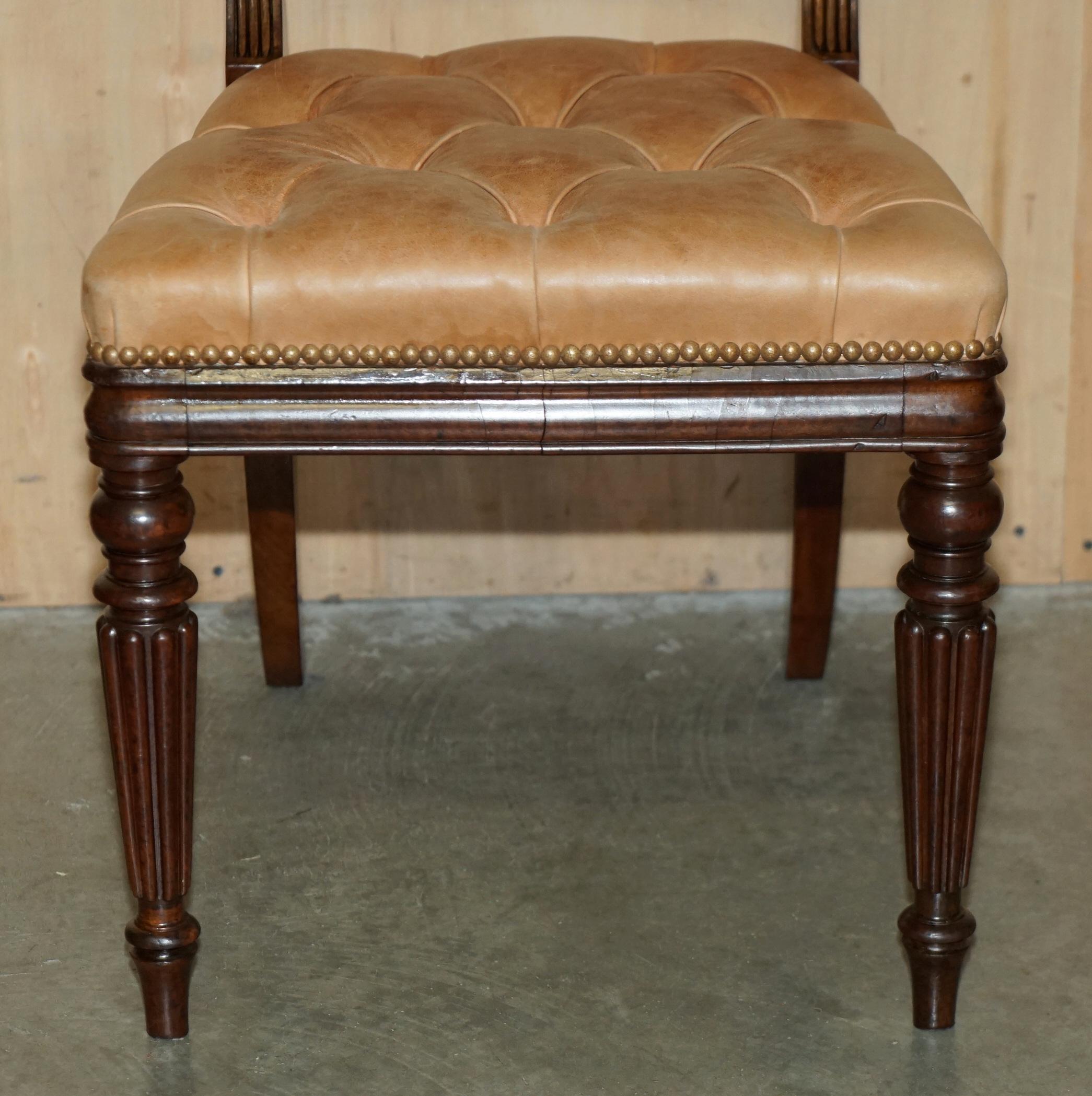 SIX FINE ANTIQUE REGENCY 1820 BROWN LEATHER HARDWOOD CHESTERFIELD DiNING CHAIRS For Sale 2