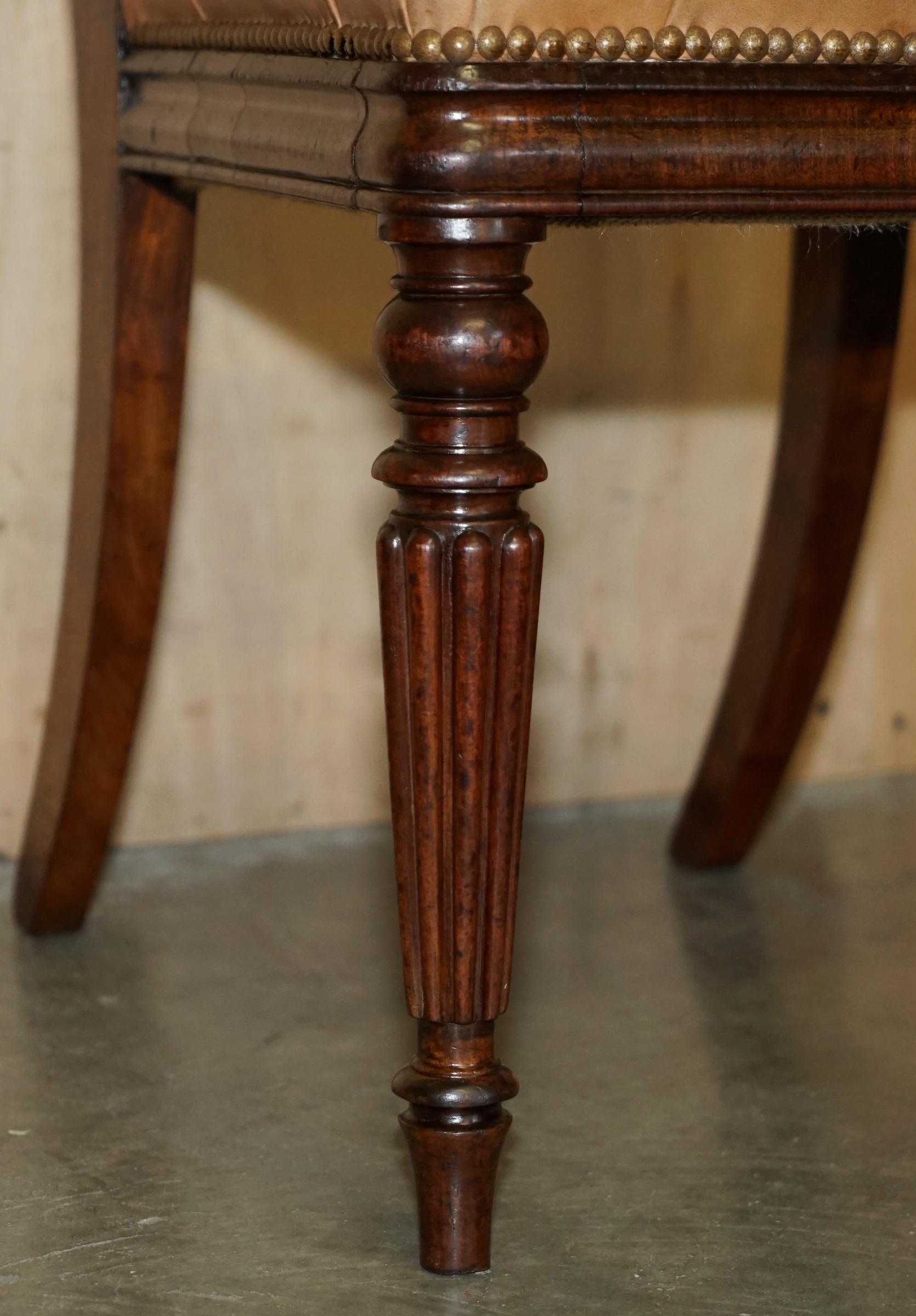 SIX FINE ANTIQUE REGENCY 1820 BROWN LEATHER HARDWOOD CHESTERFIELD DiNING CHAIRS For Sale 3