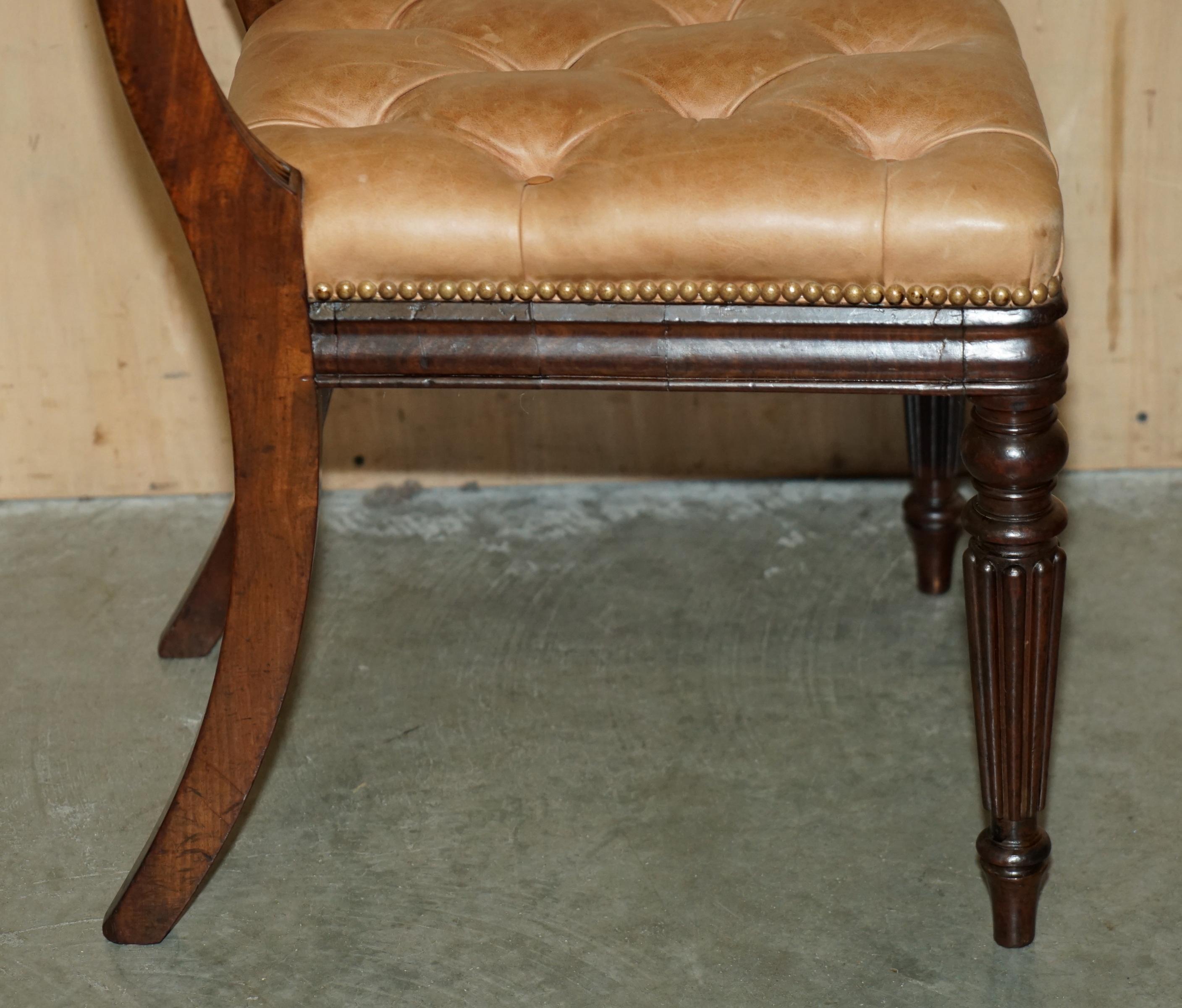 SIX FINE ANTIQUE REGENCY 1820 BROWN LEATHER HARDWOOD CHESTERFIELD DiNING CHAIRS For Sale 5