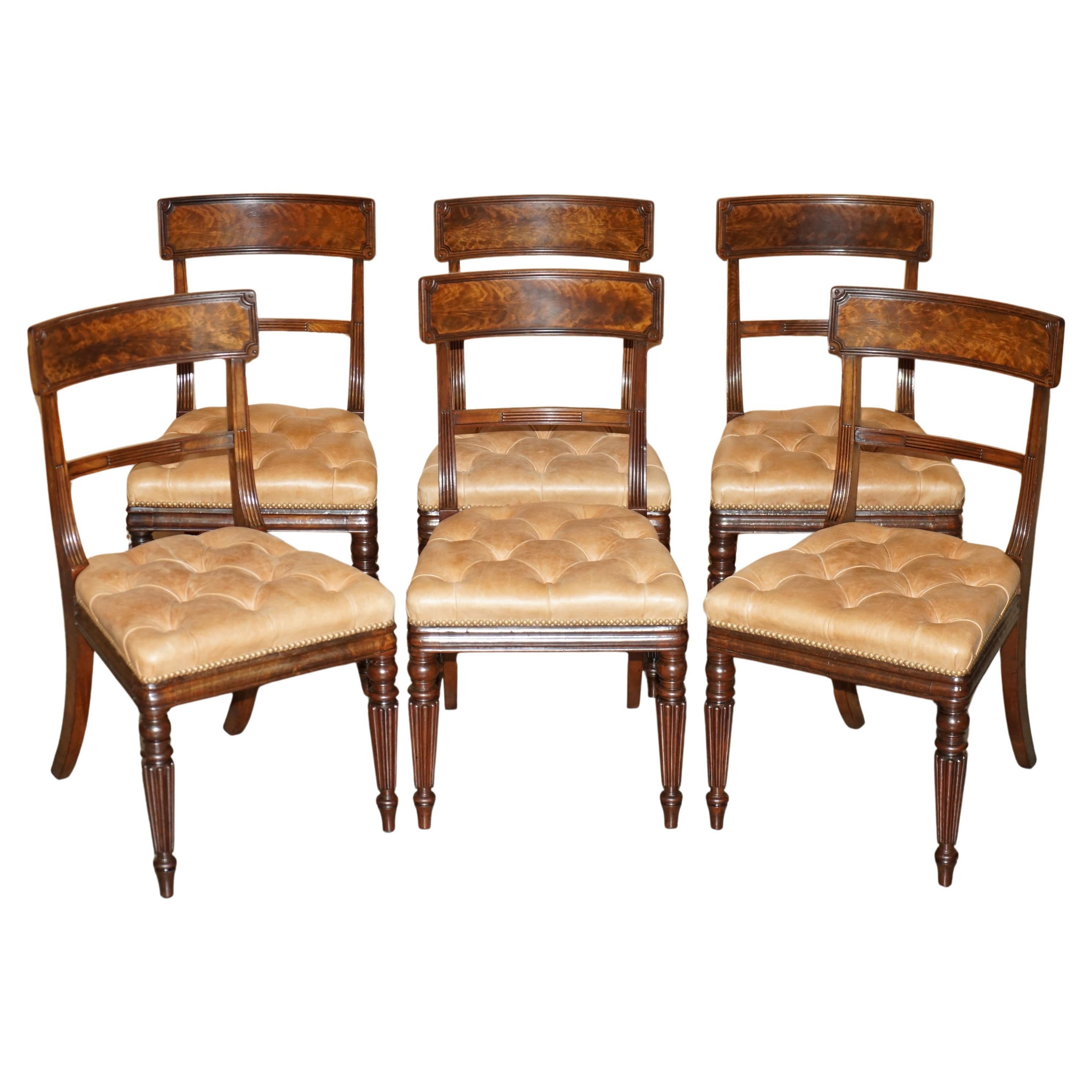 SIX FINE ANTIQUE REGENCY 1820 BROWN LEATHER HARDWOOD CHESTERFIELD DiNING CHAIRS