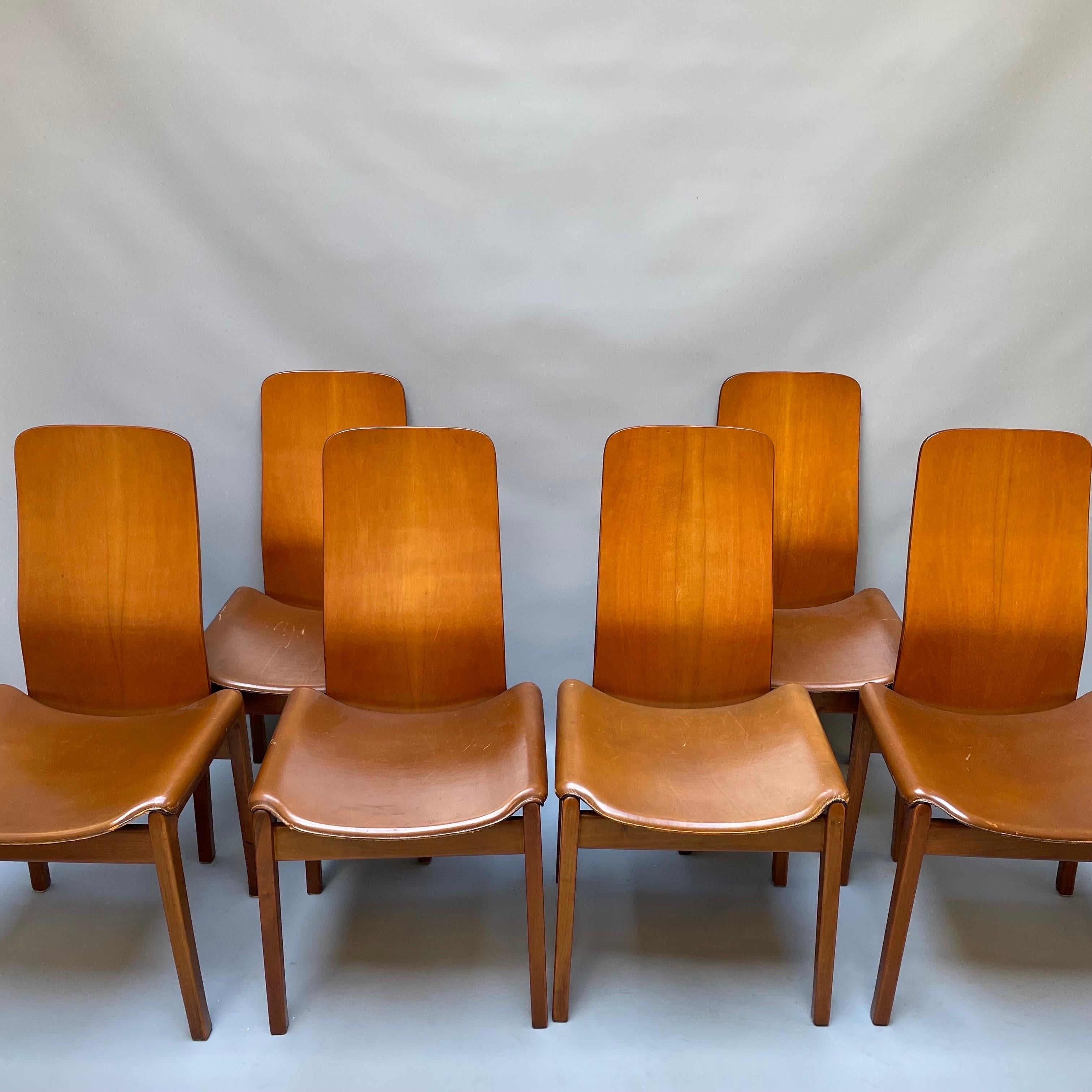 Six Fiorenza Chairs by Tito Agnoli, Molteni  2