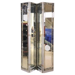 Vintage Six Foot Tall Mirrored Divider