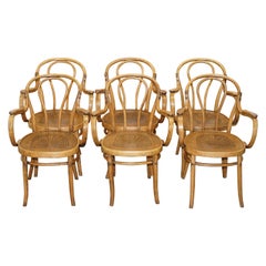 Six Fully Stamped circa 1900 Mundus J&J Jacob & Josef Kohn Bentwood Armchairs