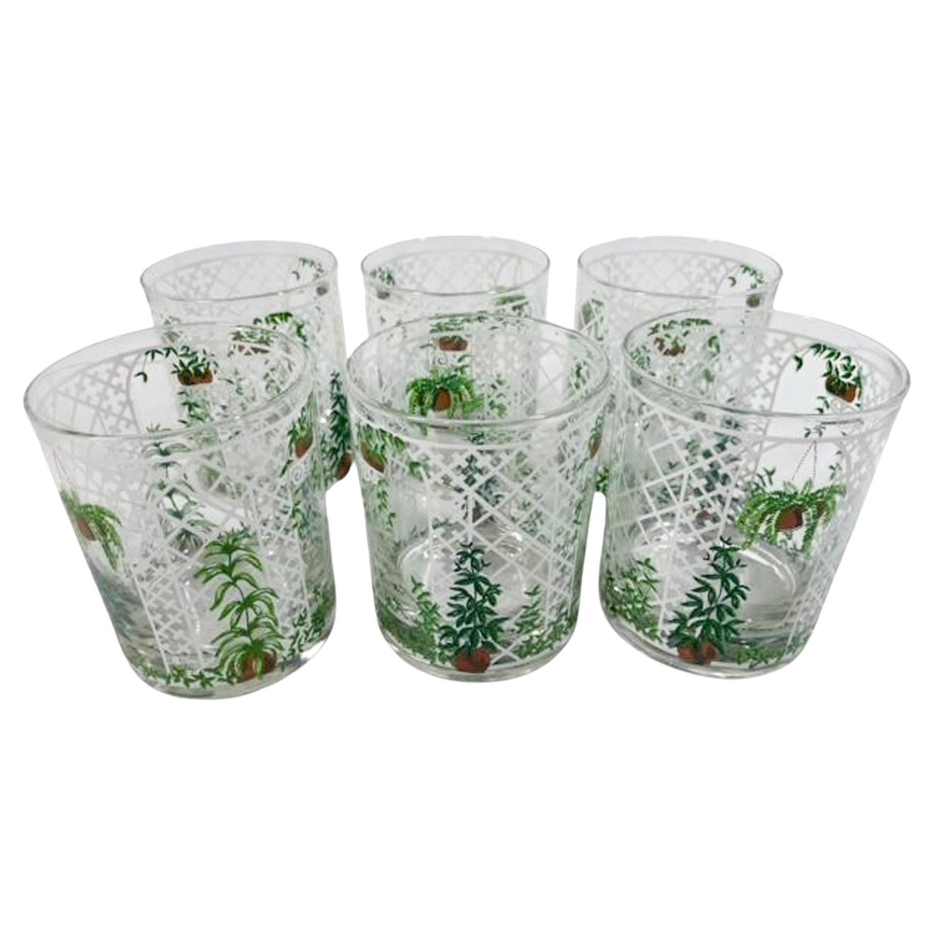 Six Hard to Find "Gazebo" Rocks Glasses with Potted Plants by Cera Glassware