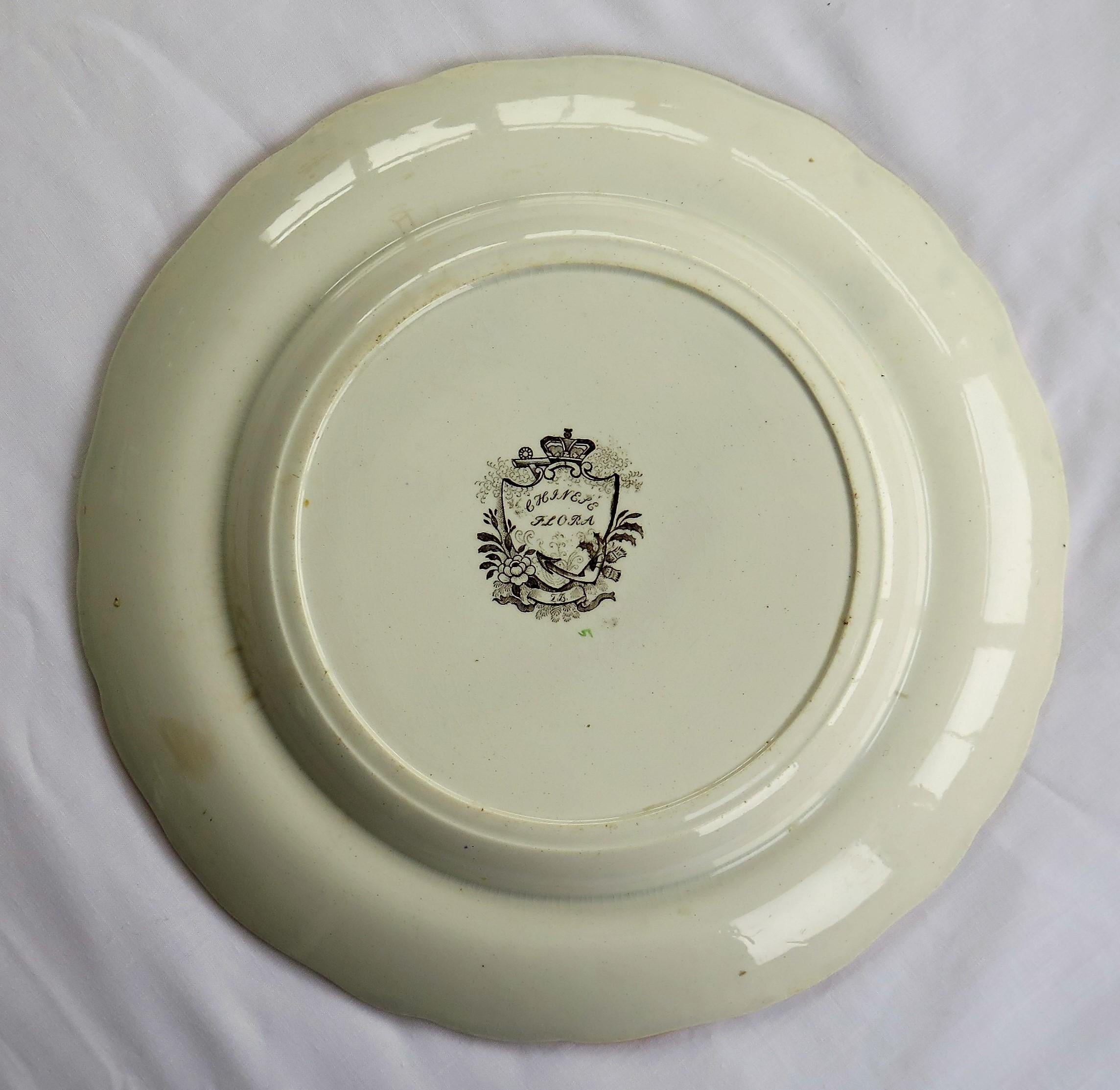 SIX Large Pottery Dinner Plates by Zachariah Boyle Chinese Flora Ptn, circa 1825 1