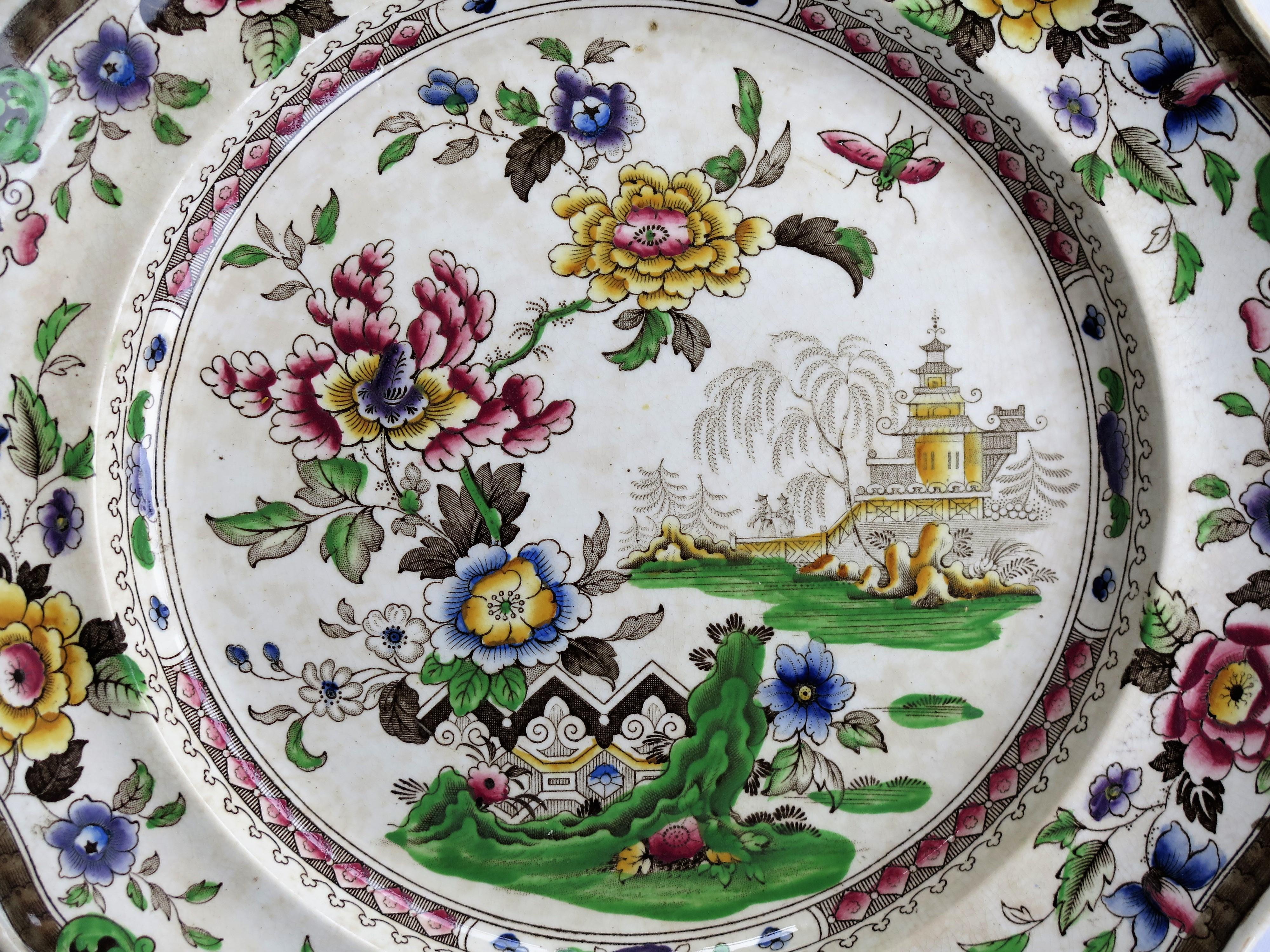 SIX Large Pottery Dinner Plates by Zachariah Boyle Chinese Flora Ptn, circa 1825 3