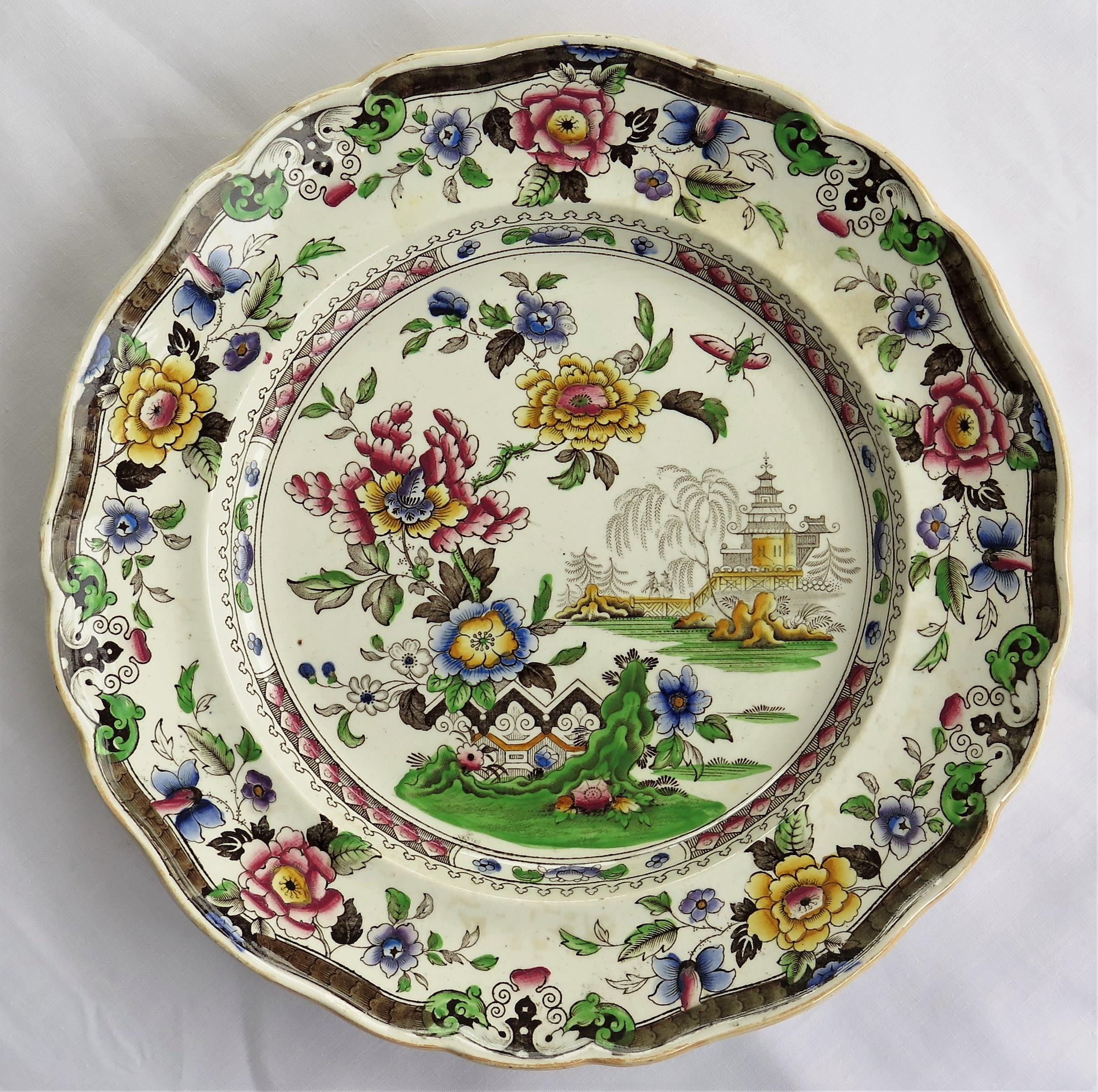 19th Century SIX Large Pottery Dinner Plates by Zachariah Boyle Chinese Flora Ptn, circa 1825