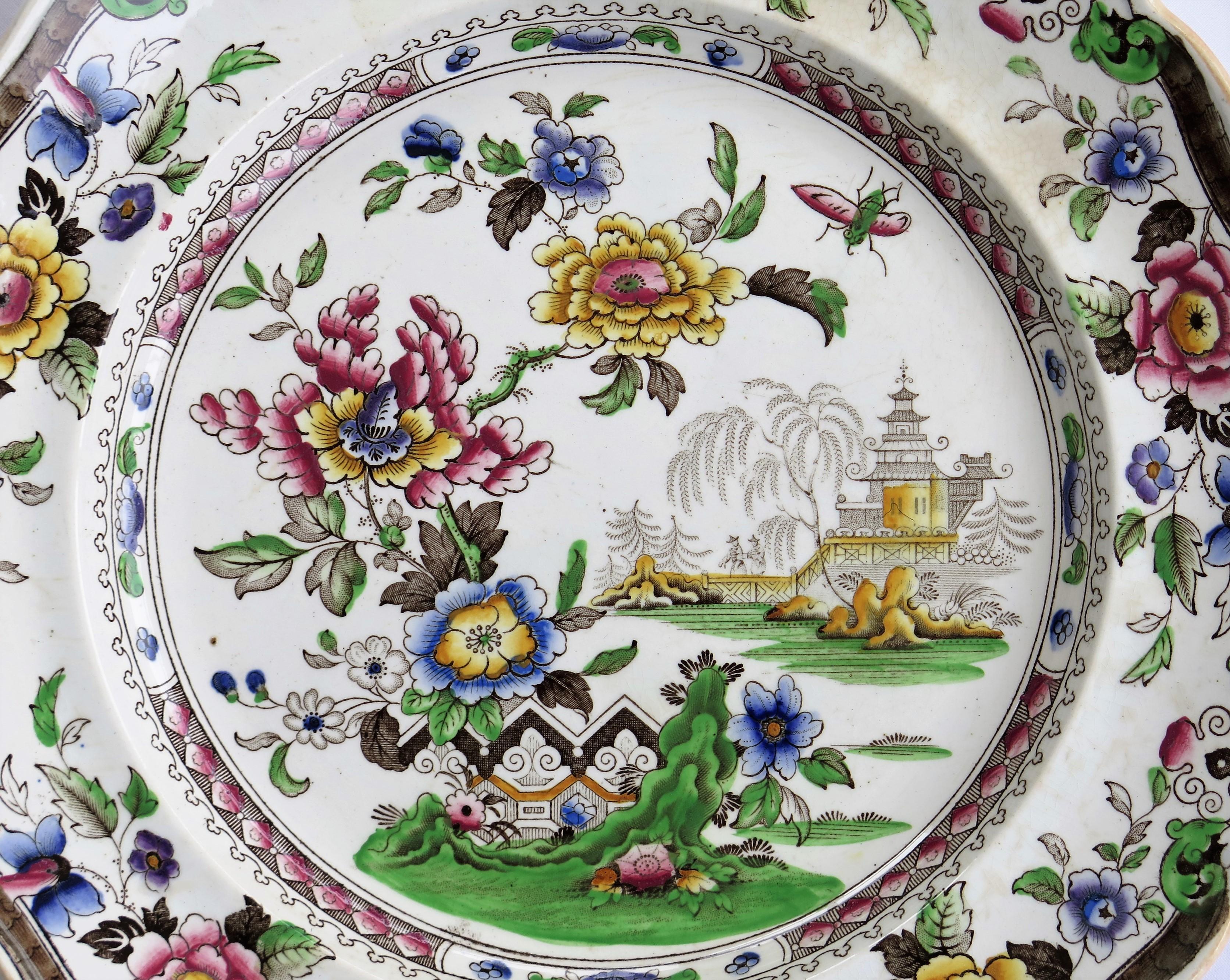 Earthenware SIX Large Pottery Dinner Plates by Zachariah Boyle Chinese Flora Ptn, circa 1825