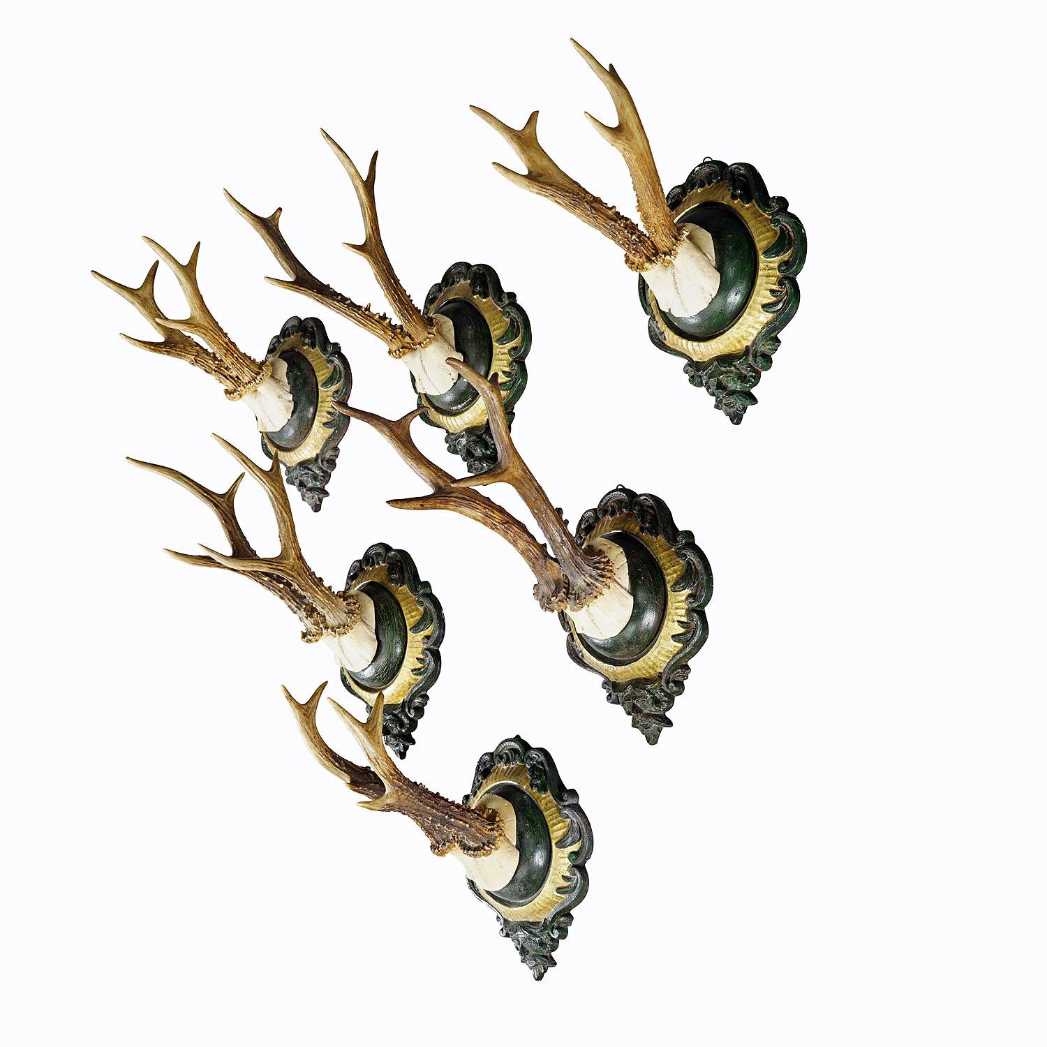 Six Large Vintage Deer Trophies on Plaster Plaques Germany ca. 1960s

A set of six large Black Forest deer (Capreolus capreolus) trophies mounted on casted plaster plaques. The plaques with green and gilt finish feature a gargoile head on the base.