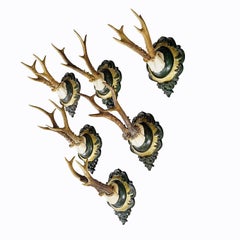 Six Large Vintage Deer Trophies on Plaster Plaques Germany ca. 1960s