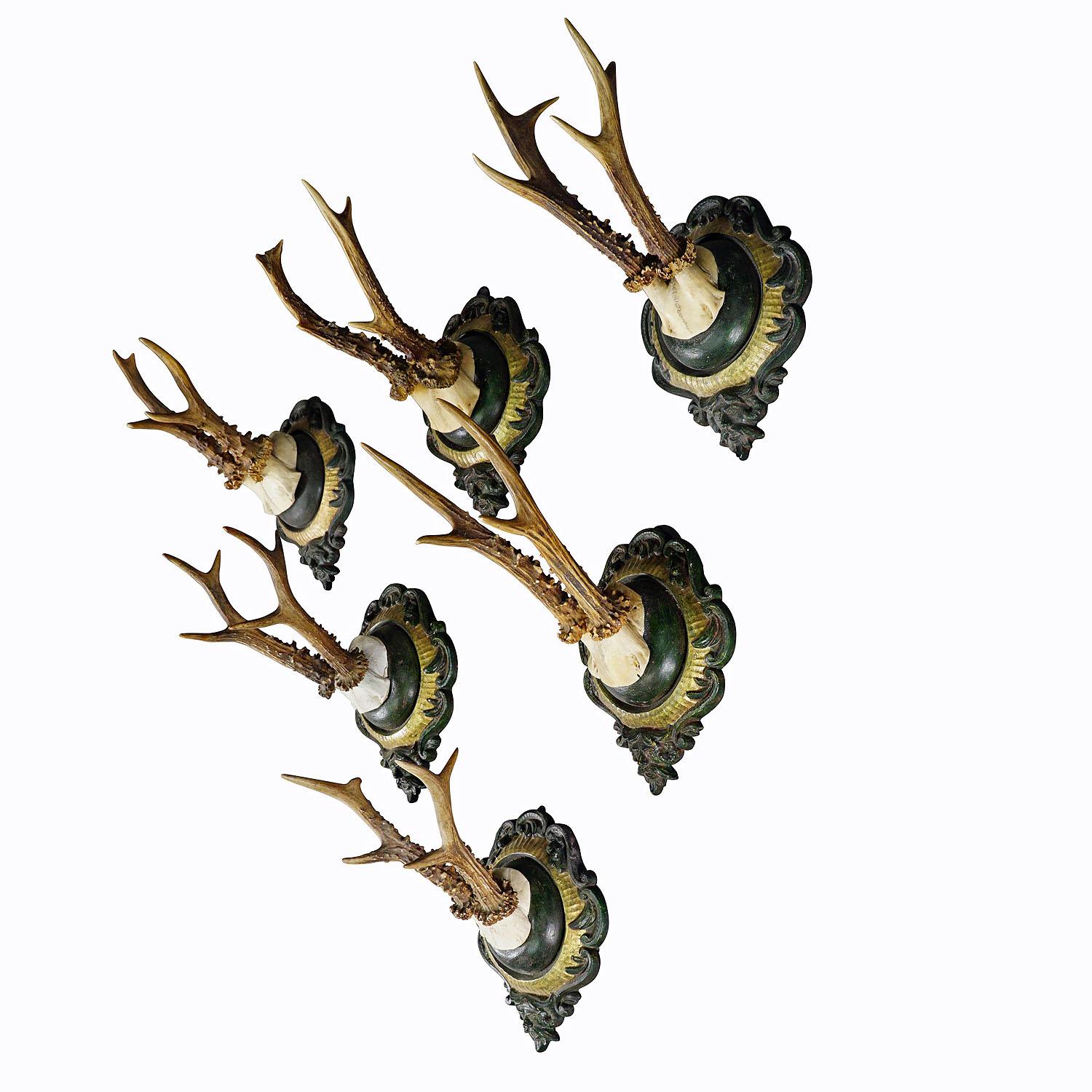 Sechs große Vintage Hirschtrophäen auf Gipstafeln Deutschland ca. 1960er Jahre

Ein Satz von sechs großen Schwarzwaldhirschtrophäen (Capreolus capreolus), montiert auf gegossenen Gipsplaketten. Die Plaketten mit grüner und vergoldeter Oberfläche