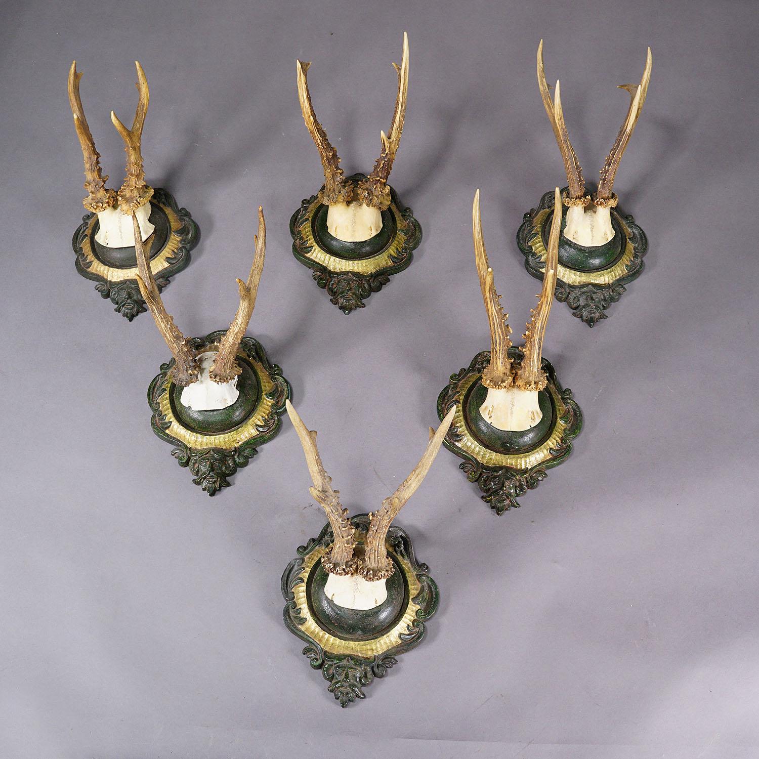 Rustic Six Large Vintage Deer Trophies on Plaster Plaques Germany ca. 1960s For Sale