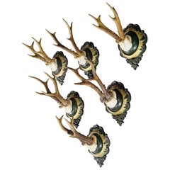 Six Large Vintage Deer Trophies on Plaster Plaques Germany ca. 1960s
