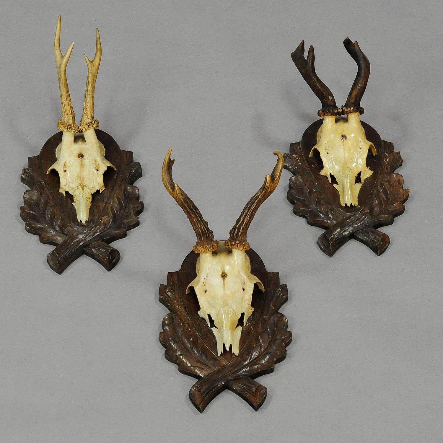 A set of six vintage black forest deer trophies on wooden carved plaques. Paper labels on the back with handwritten inscriptions: trophy details, date, place of the hunt and the hunter. Germany 1960s.

Measures: width 6.3