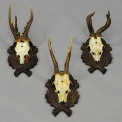 Six Large Vintage Deer Trophies on Wooden Carved Plaques