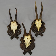 Six Large Vintage Deer Trophies on Wooden Carved Plaques