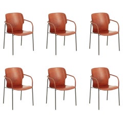 Six Leather Lalanda Chairs by Gianfranco Frattini