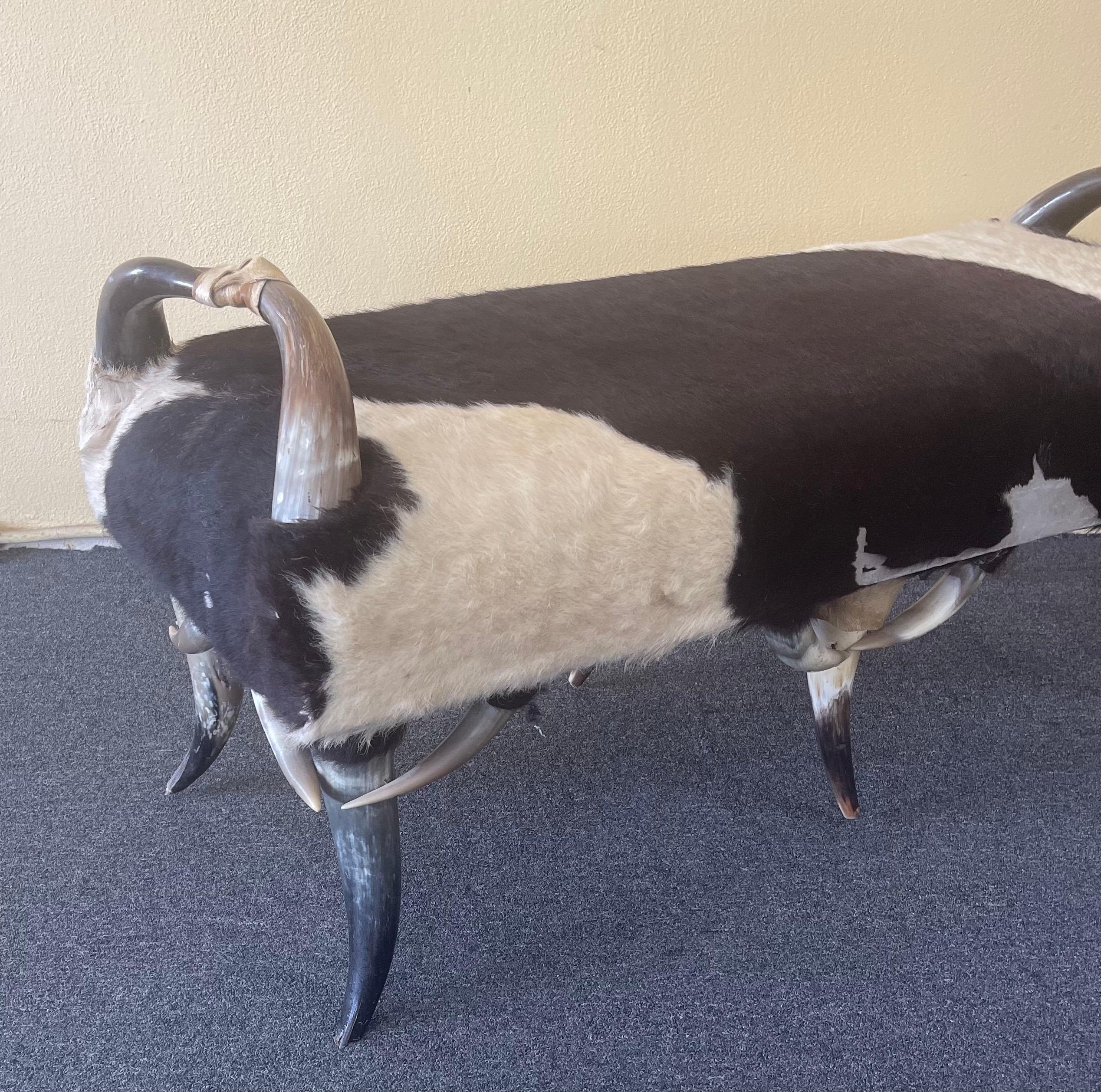 American Six Legged Long Horn and Cowhide Bench