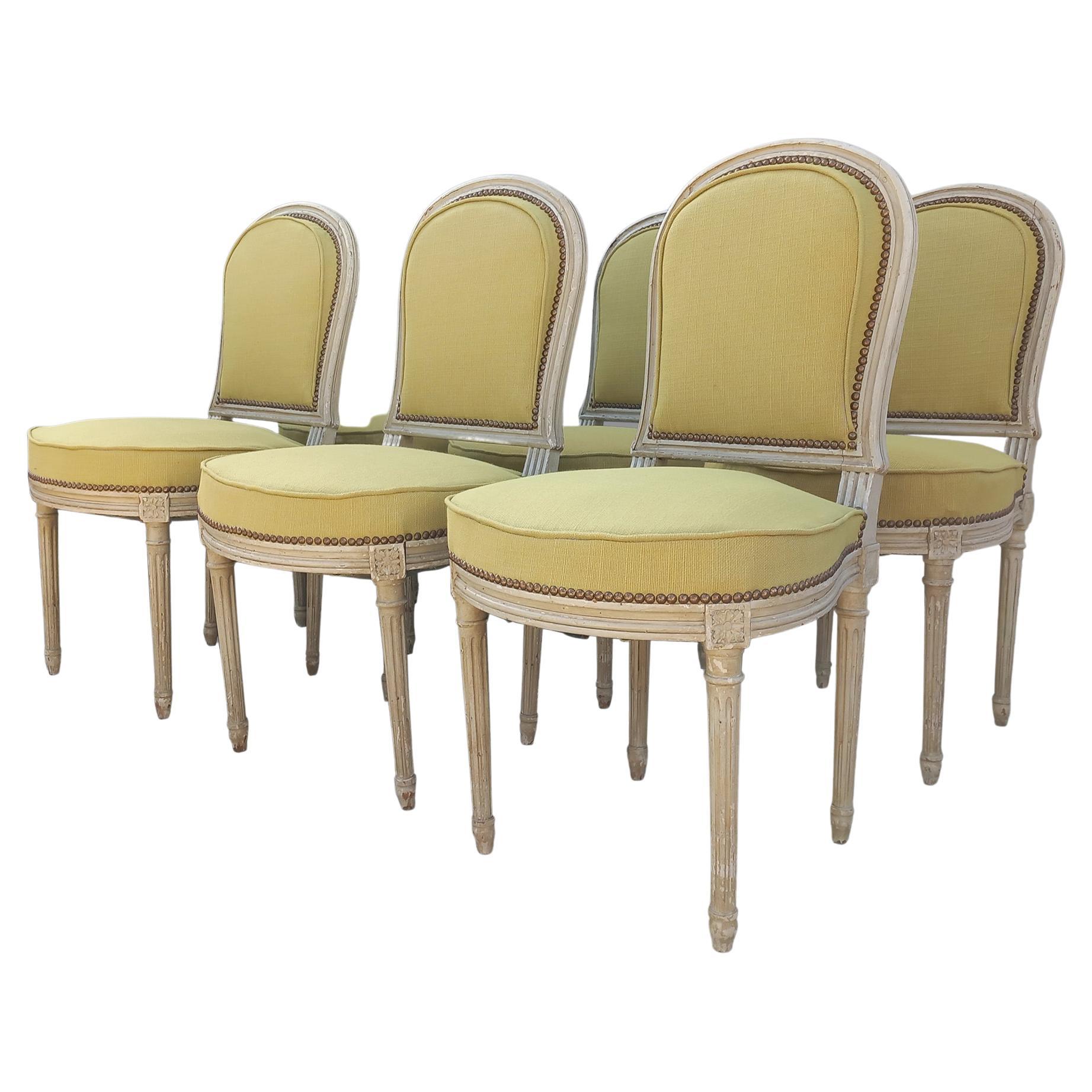 Six Louis XVI Dining Chairs green For Sale