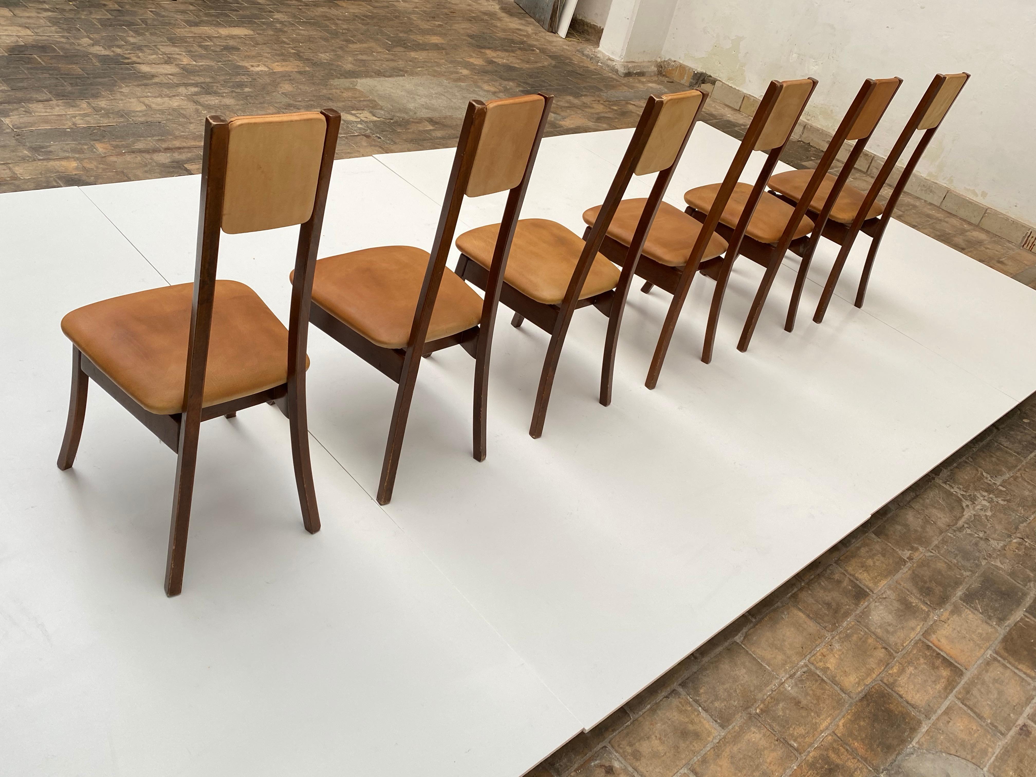 Six walnut  & Leather Mangiarotti 'S11' Dining Chairs, Sorgente Dei Mobili 1972 For Sale 5