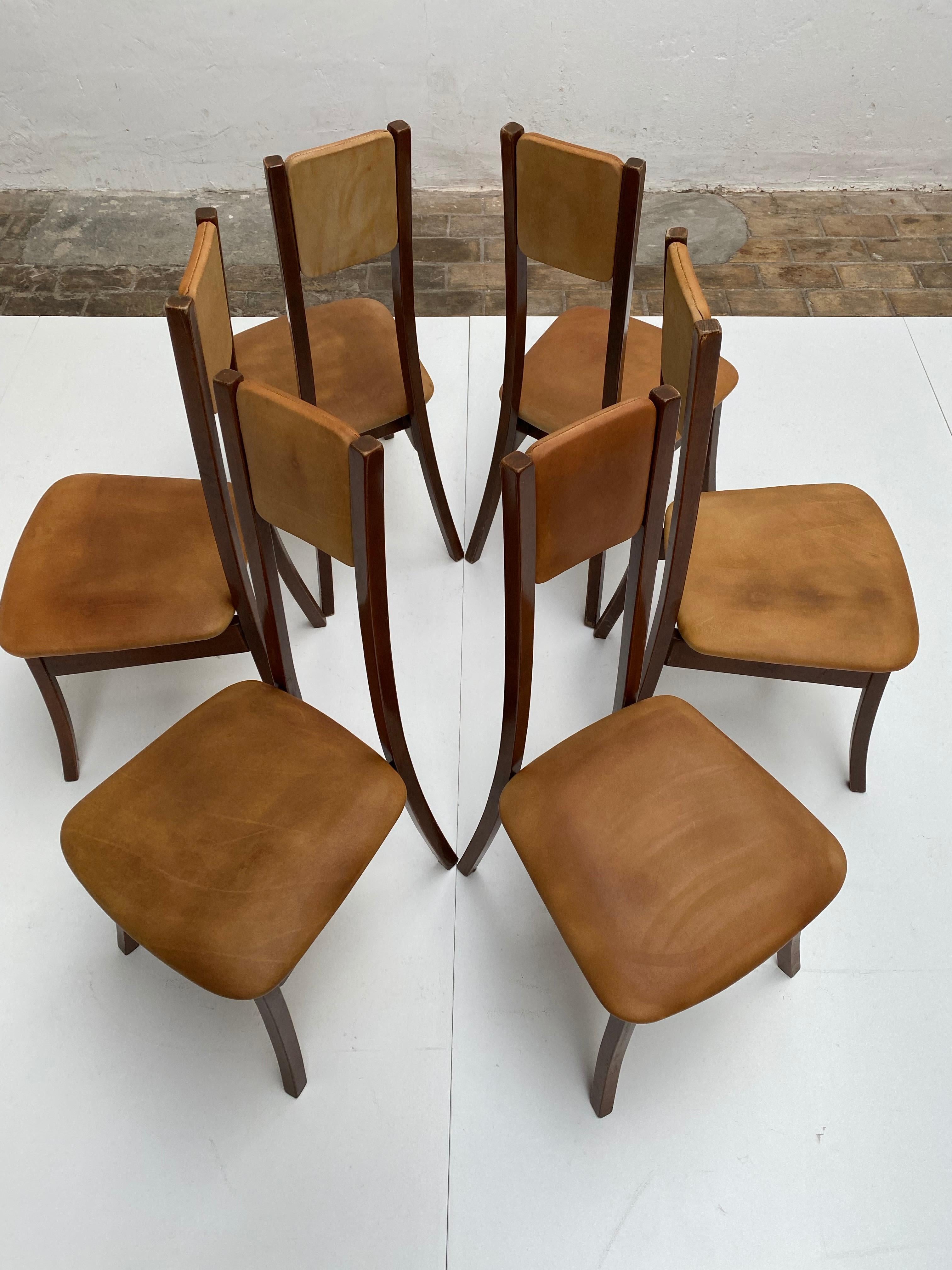 Six walnut  & Leather Mangiarotti 'S11' Dining Chairs, Sorgente Dei Mobili 1972 For Sale 1