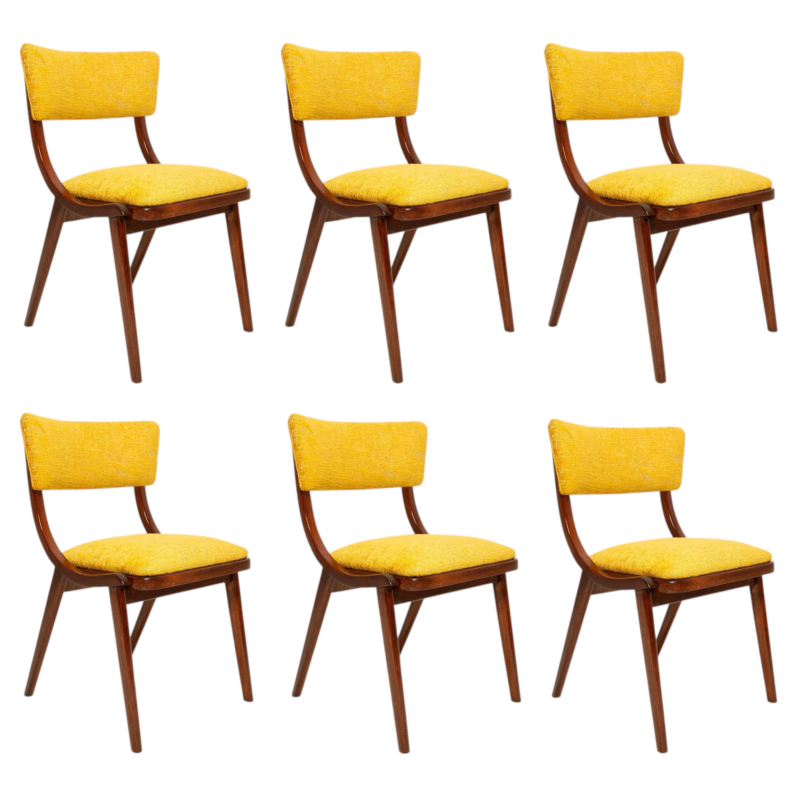 Six Mid Century Bumerang Chairs, Yellow Spiriti Jacquard - Dedar, Poland, 1960s
