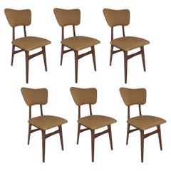 Six Mid Century Butterfly Chairs, Tabacco Wool Millais by Dedar, Europe, 1960s