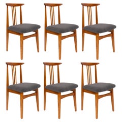 Six Mid-Century Graphite Boucle Chairs, Medium Wood, M Zielinski, Europe 1960